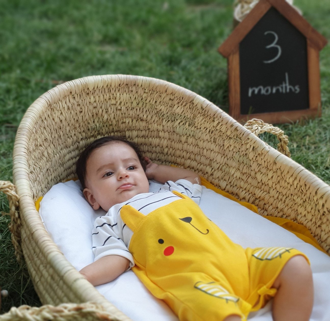 تخته سیاه آلونک رادمهر امینی