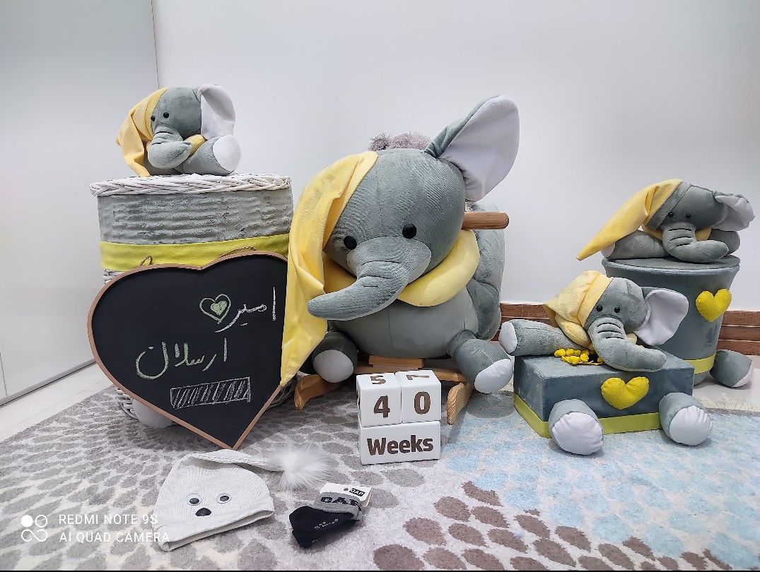 توی شکم مامان امیر ارسلان علیزاده