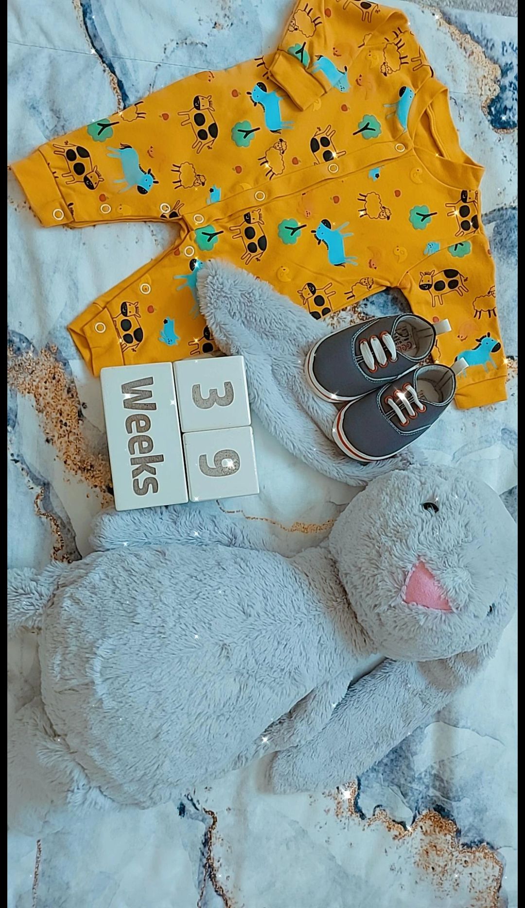 جهت-ایده میران اقتداری