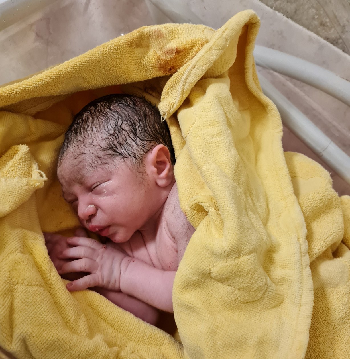 متولد شدن نوزاد مهیار حسین زاده