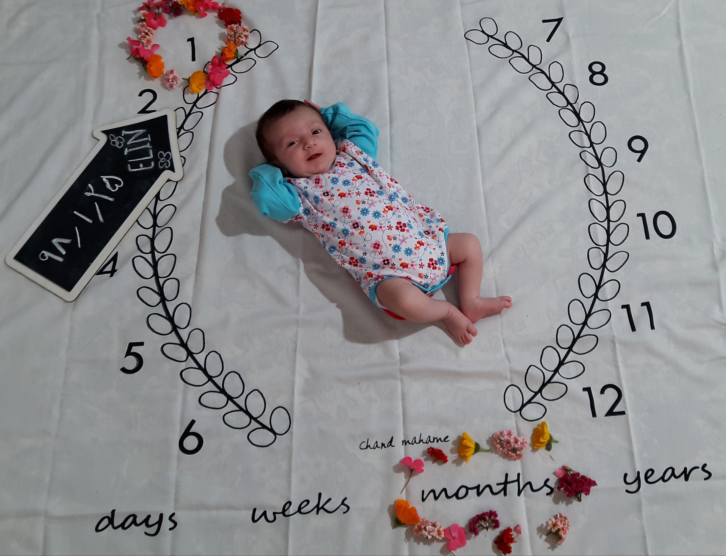 تخته سیاه گچی مدل فلش الین پوراحمد جوبنی