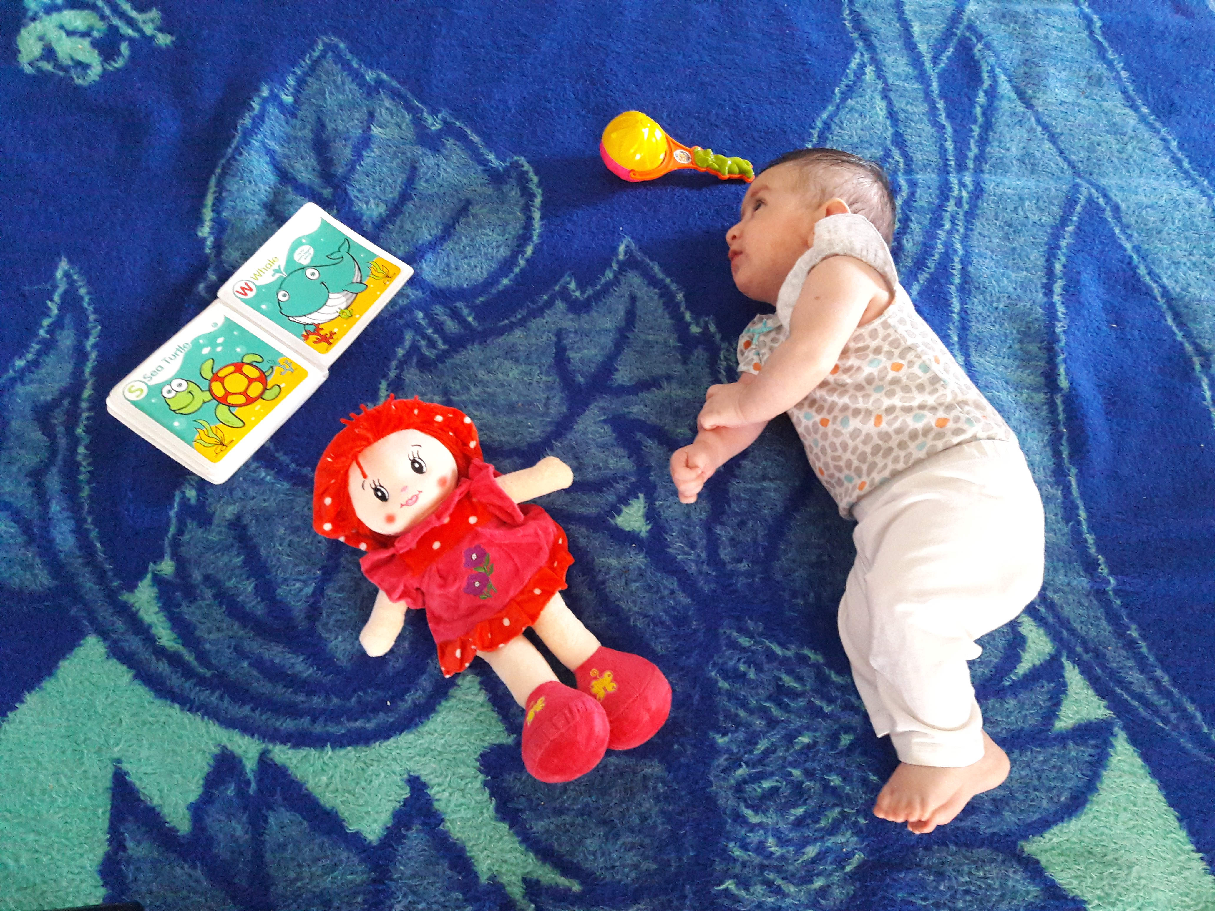 یازده ماهگی نوزاد الین پوراحمد جوبنی