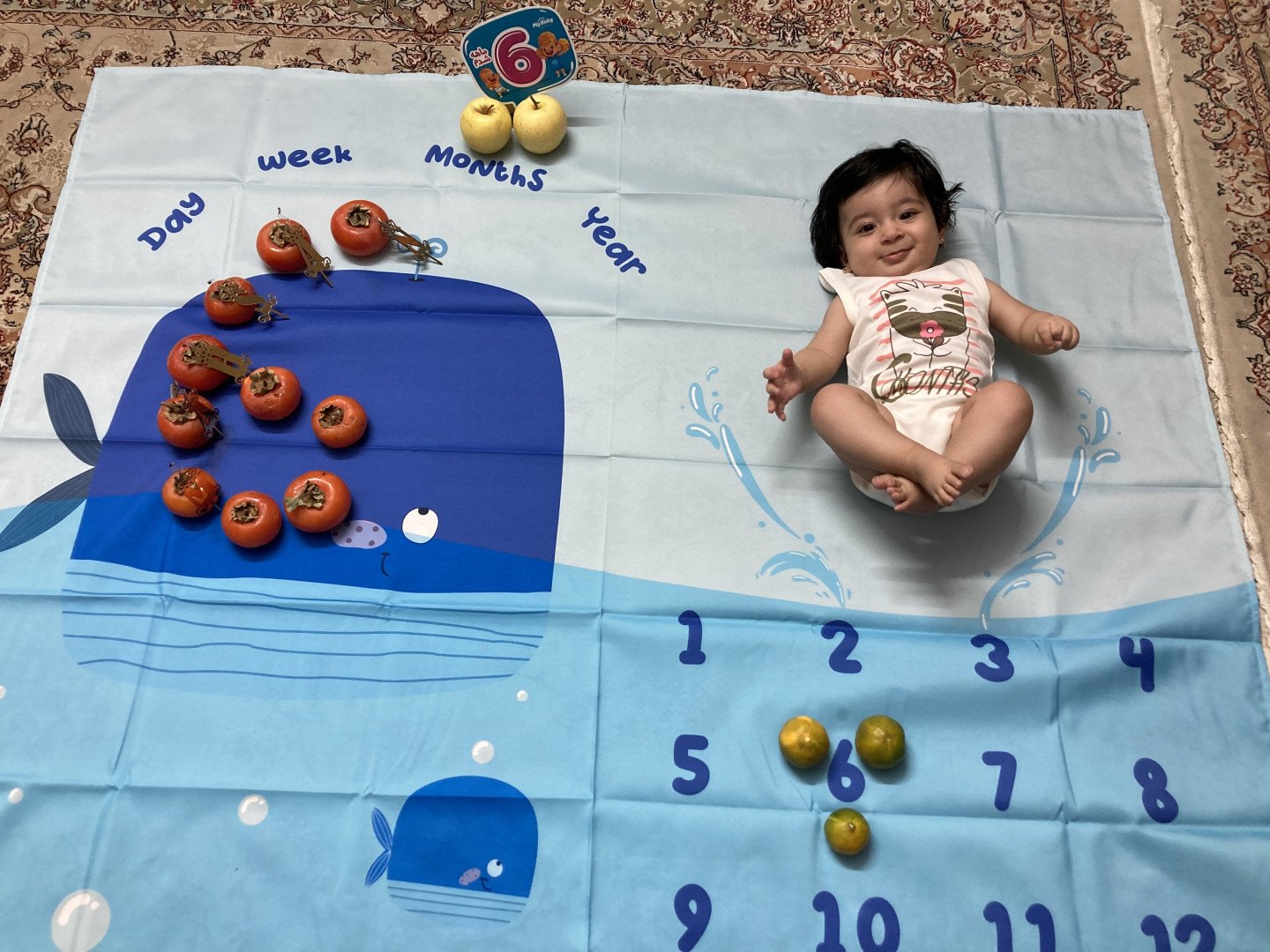 چهار‌دست و پا رفتن نوزاد مهسان اسمعیلیان صدرآباد