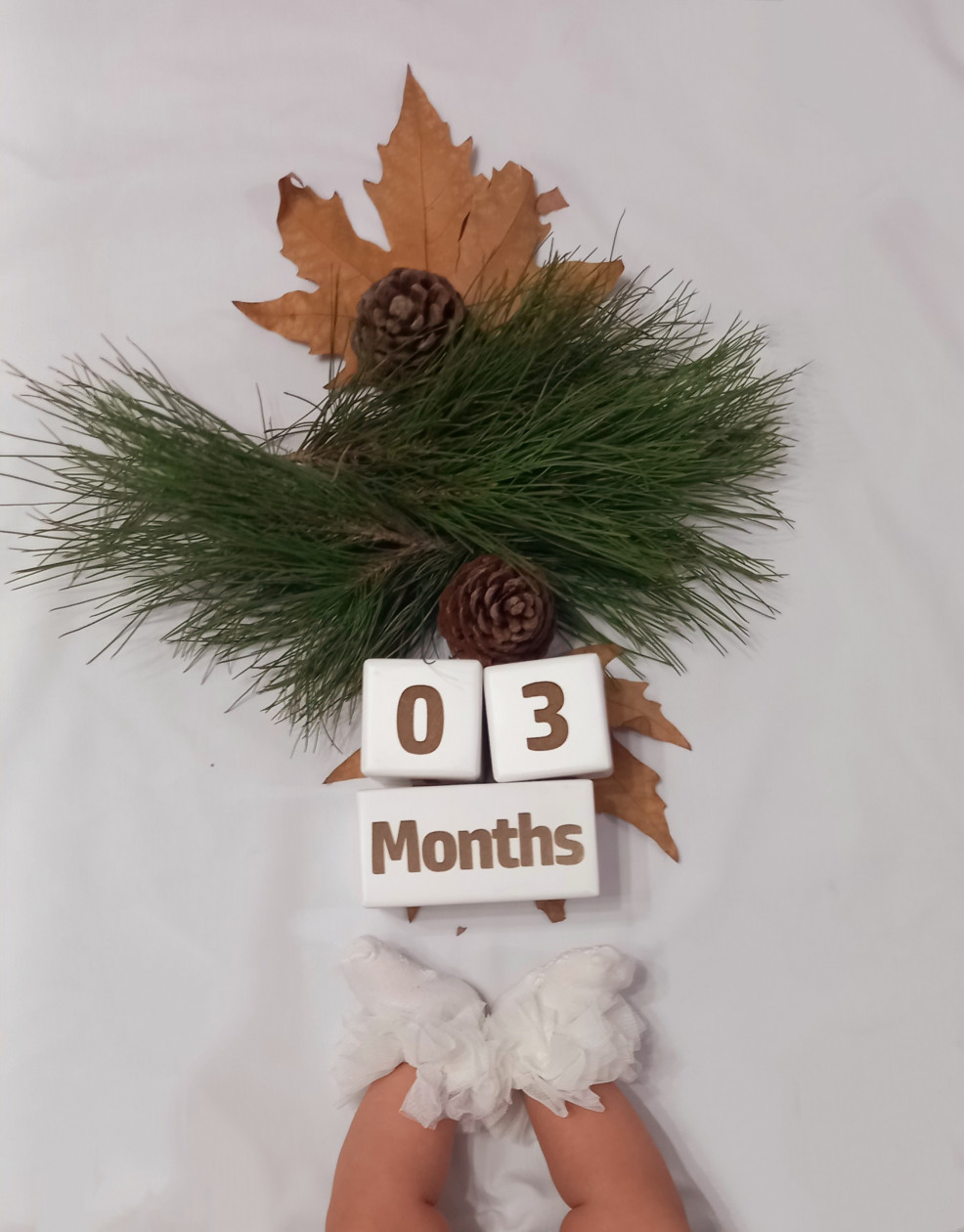 تخته سیاه قلب مَهرو فردی