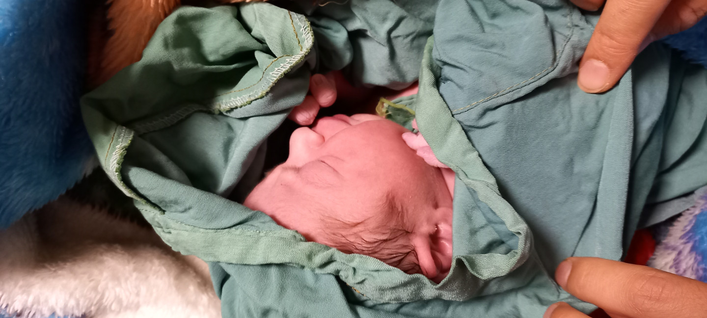 متولد شدن نوزاد آیسان مولابیگی