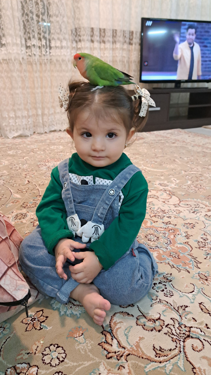 هفده ماهگی کودک ماهوین مینایی