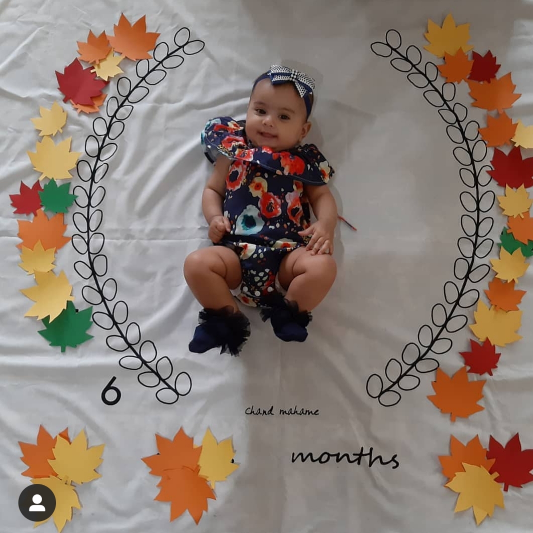 پارچه ماه شمار طرح شاخه زیتون آوینا حسنکی