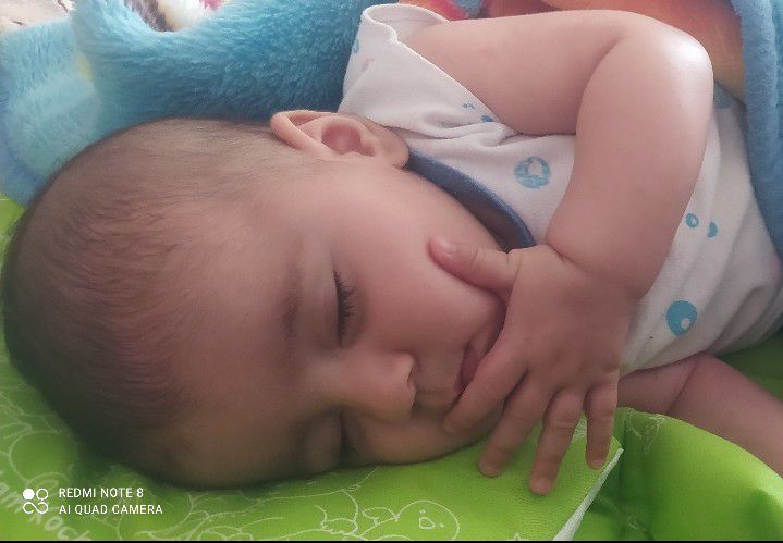 لالا کردنم الین اسماعیلی