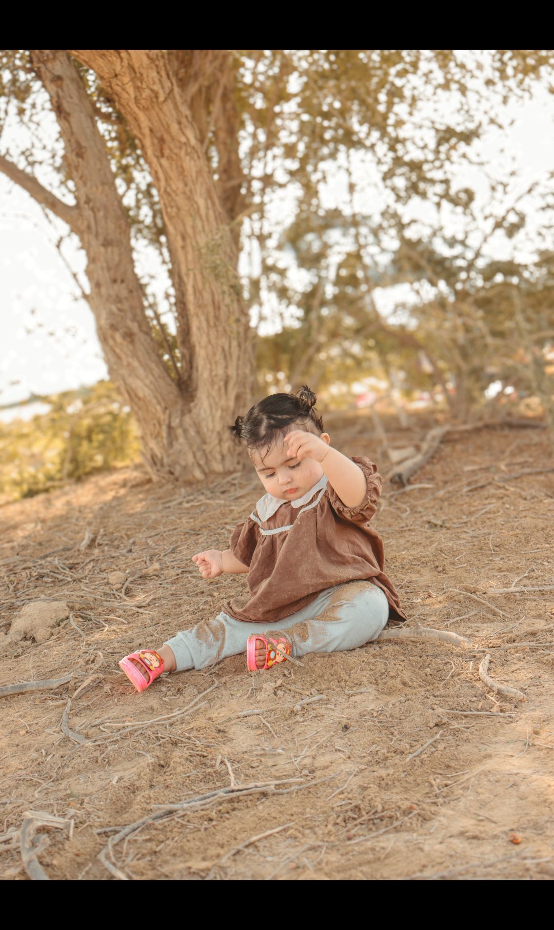 جوجه نیلیا صدر