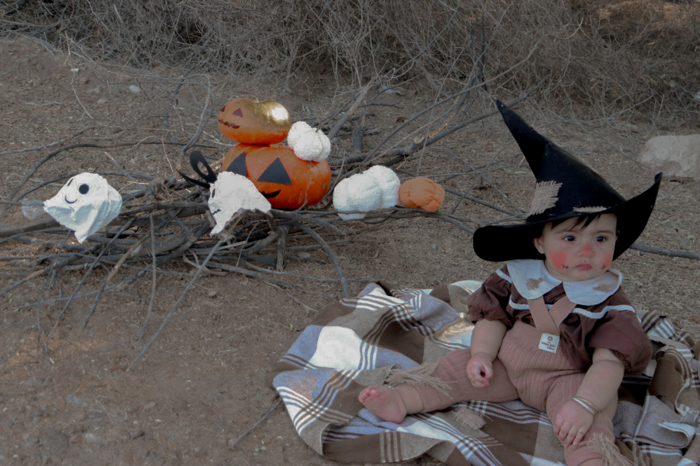 تم عکس پاییزی نوزاد نیلیا صدر