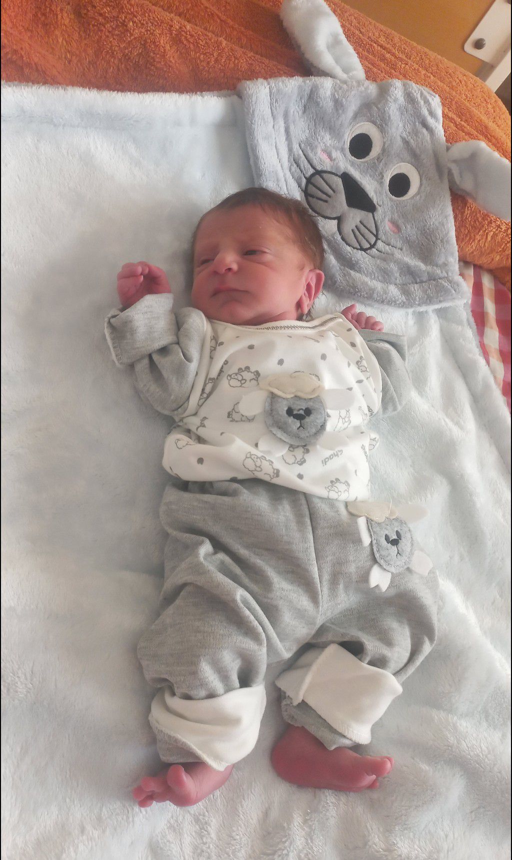 متولد شدن نوزاد دیار