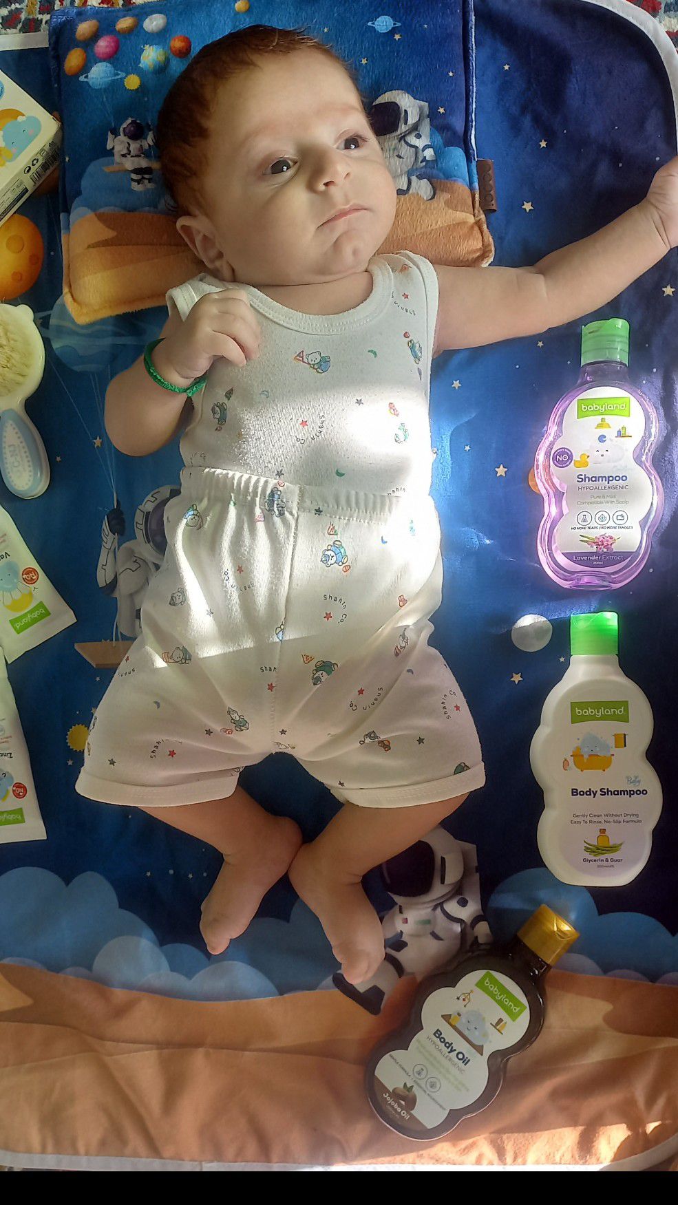 خلاقیت دیار