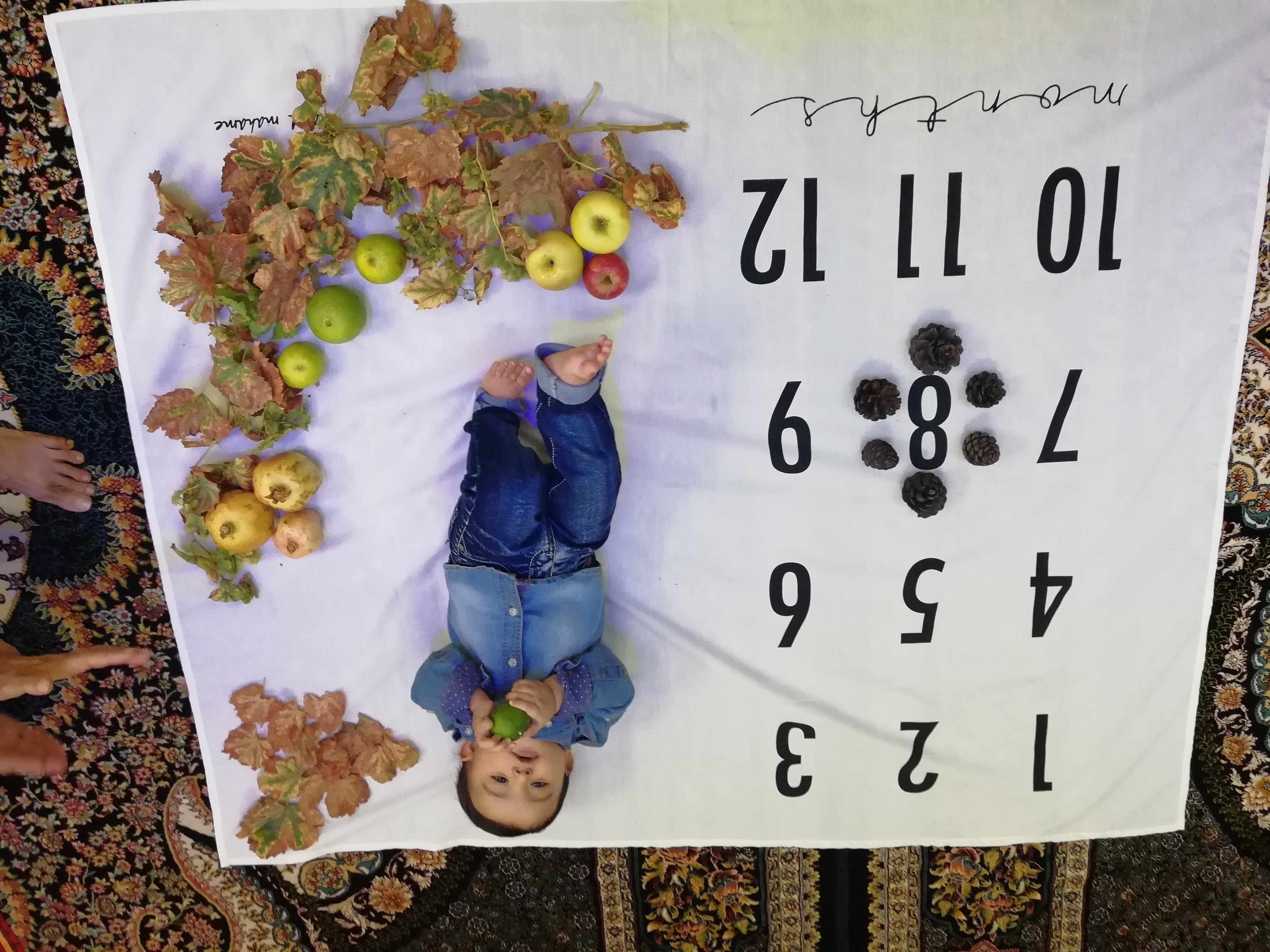 هشت ماهگی نوزاد پارسا پرچمی