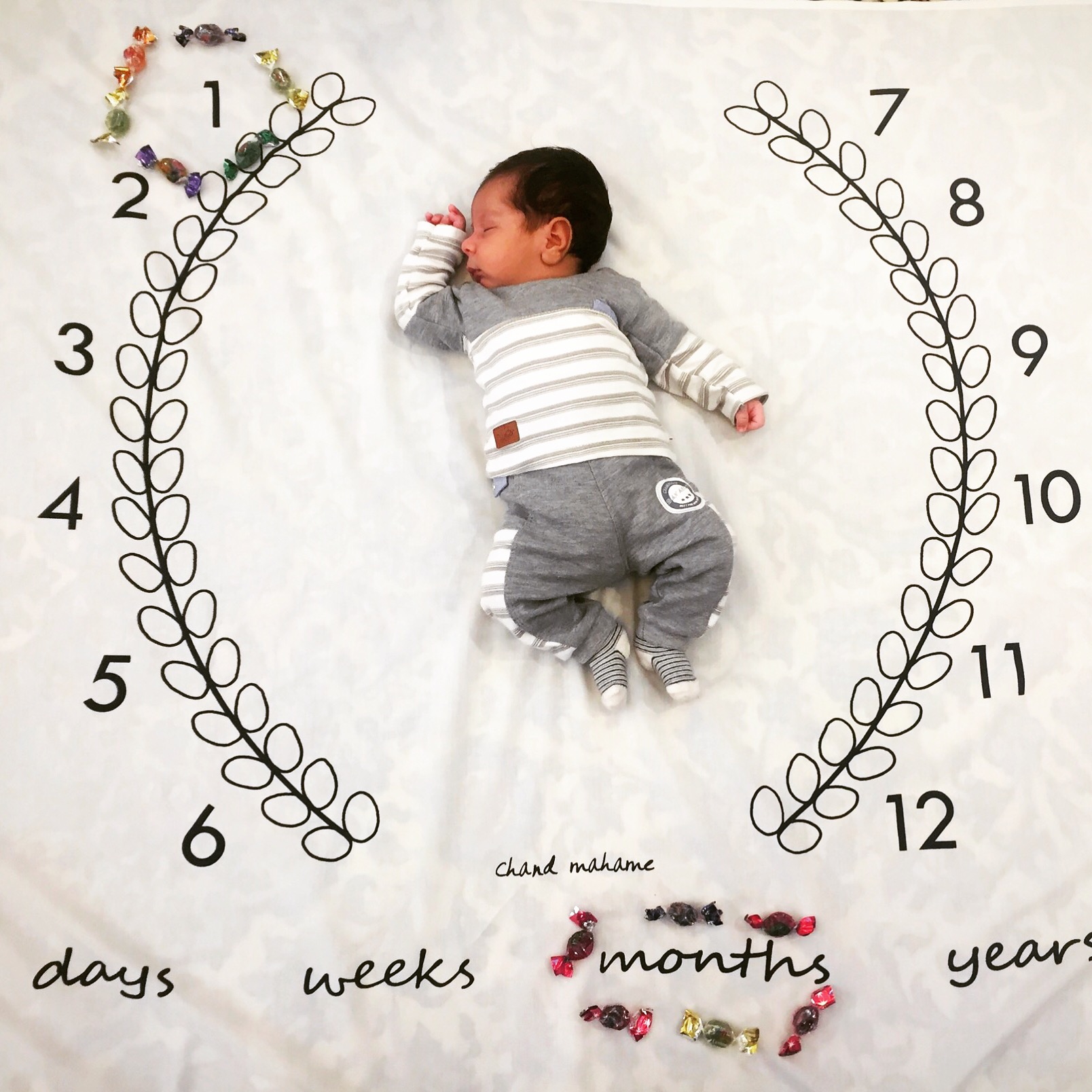 پارچه ماه شمار طرح شاخه زیتون عماد وحيدي