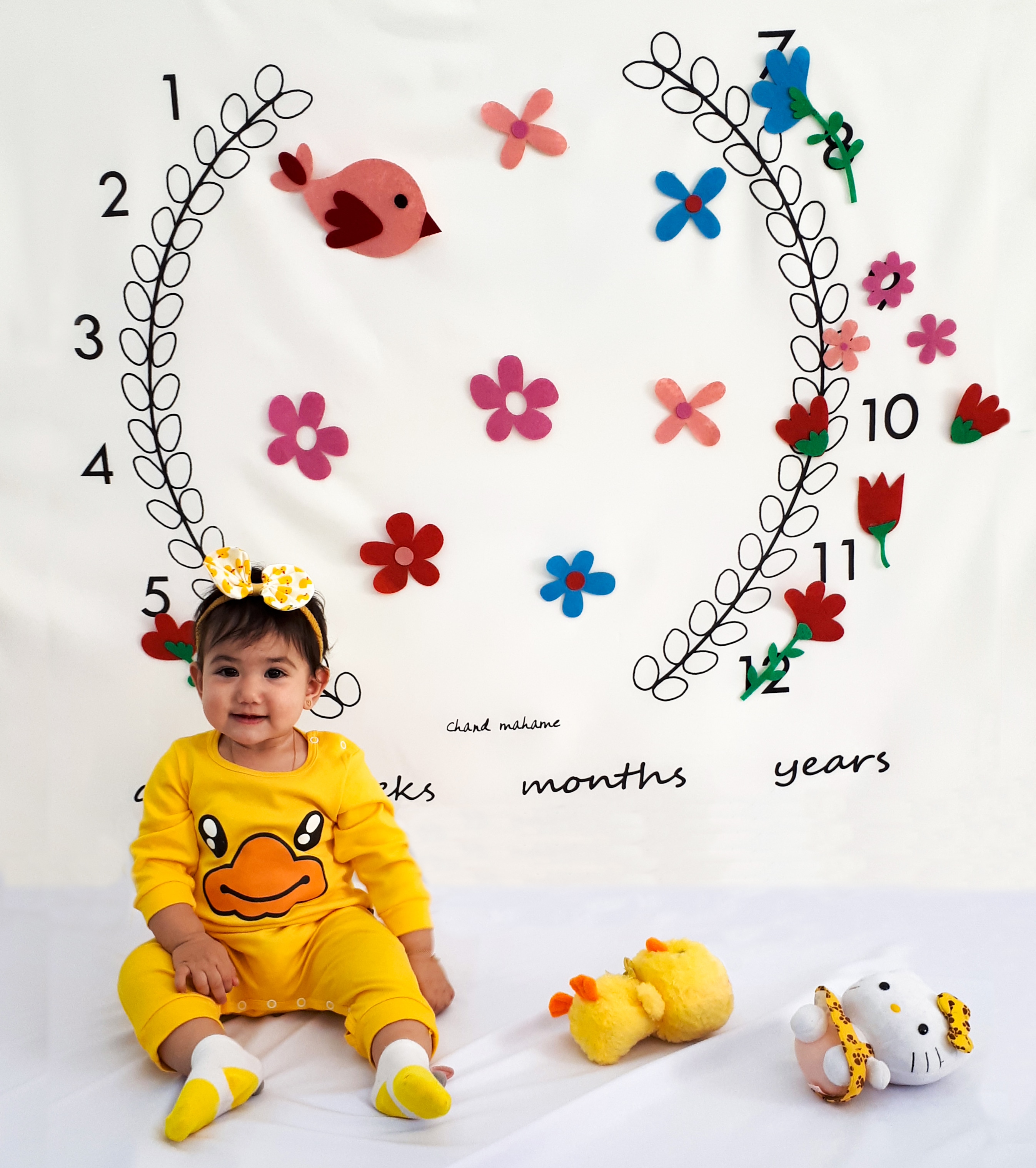 تم-عکاسی-گل-و-بلبل-5318