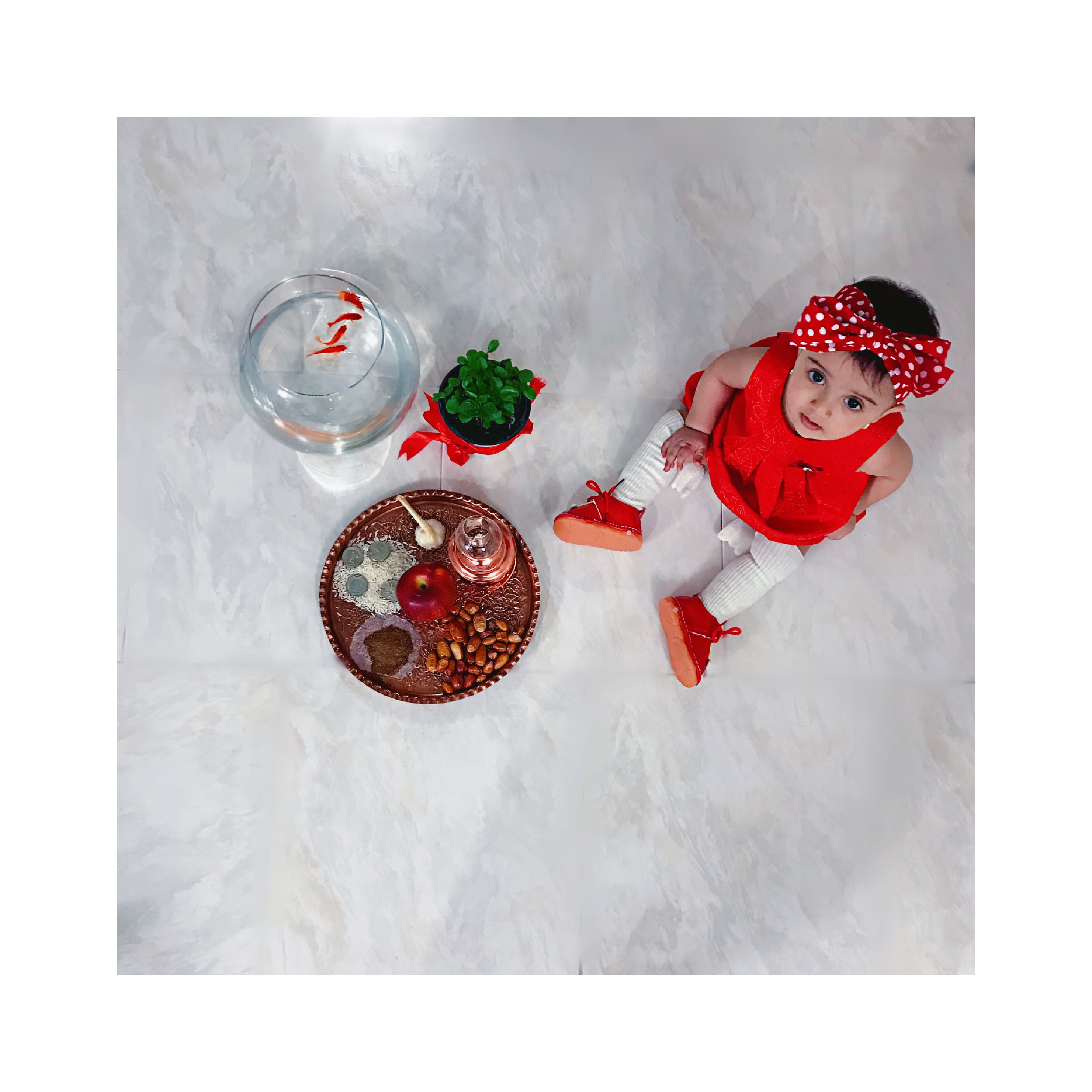 عید نوروز دلارام لطفي