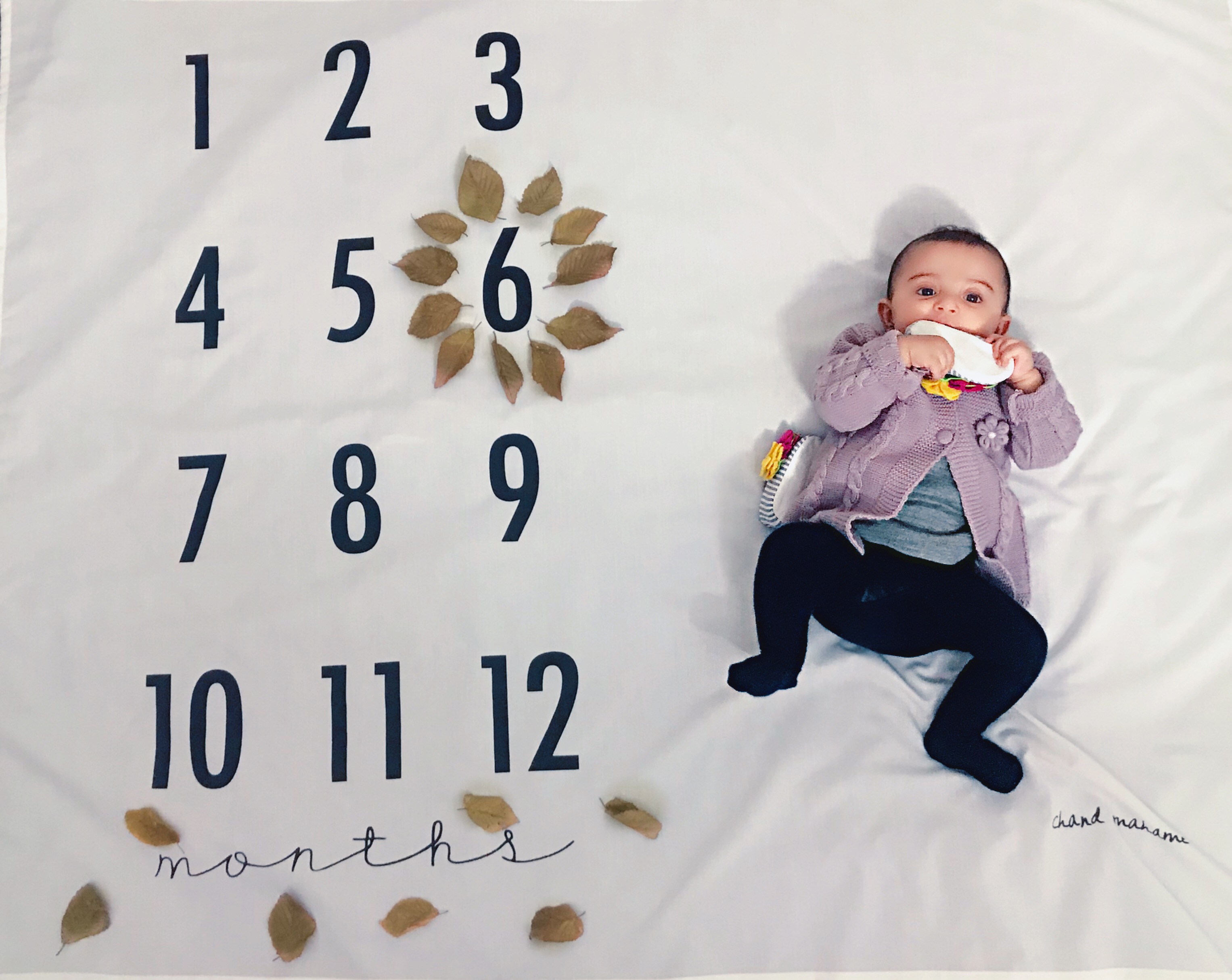 تم عکس پاییزی نوزاد دلارام لطفي