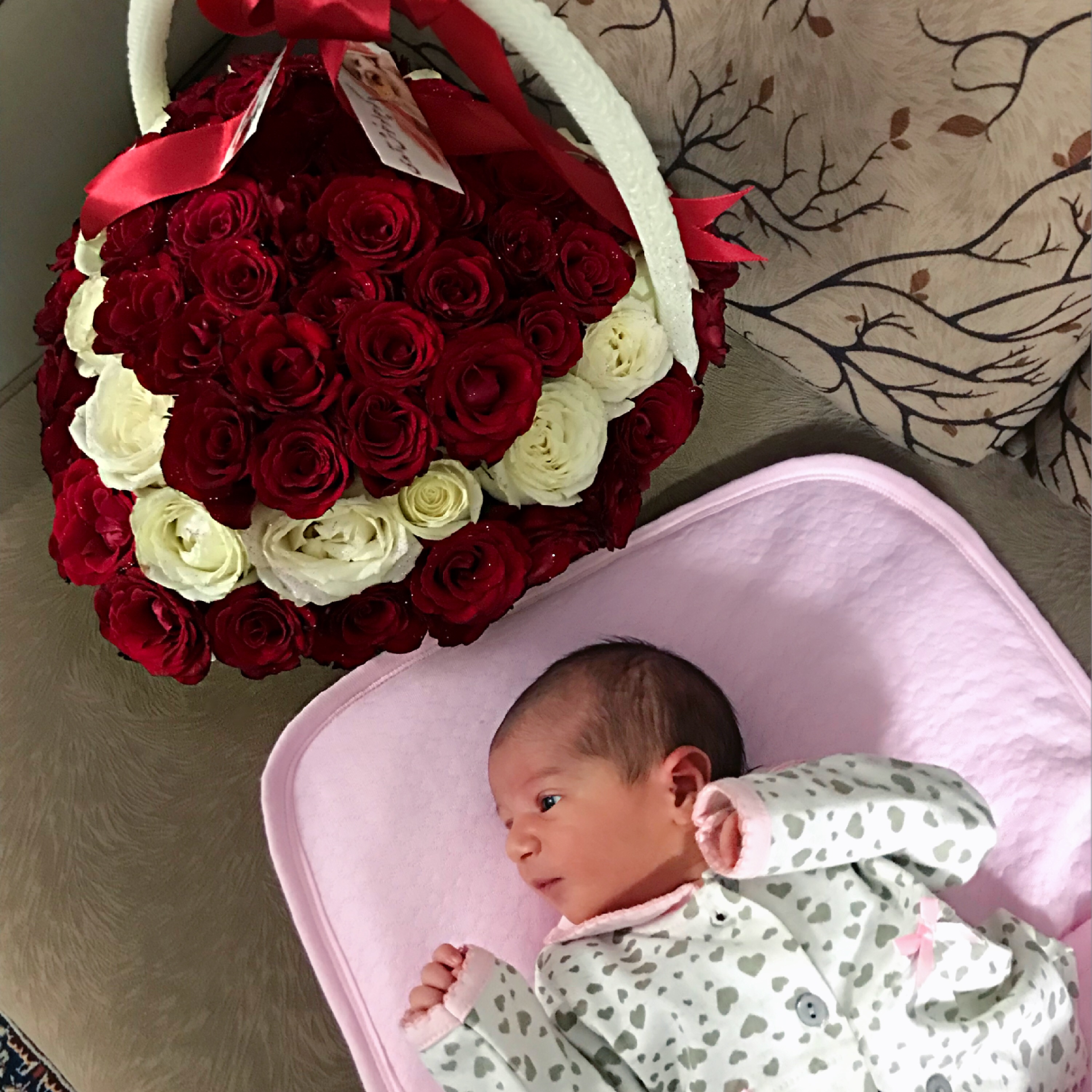 متولد شدن نوزاد دلارام لطفي