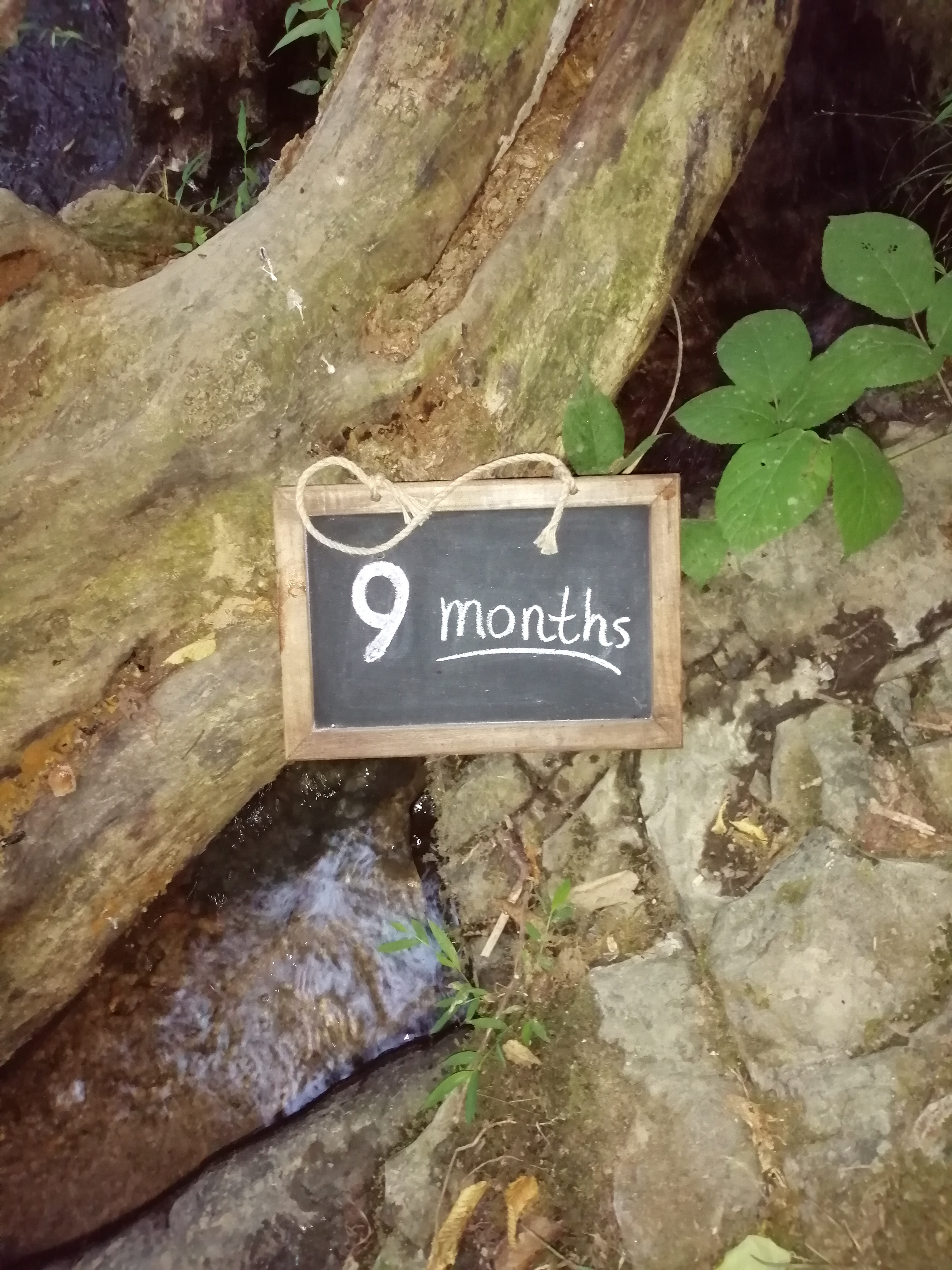 نه ماهگی نوزاد نیکا سلیمی