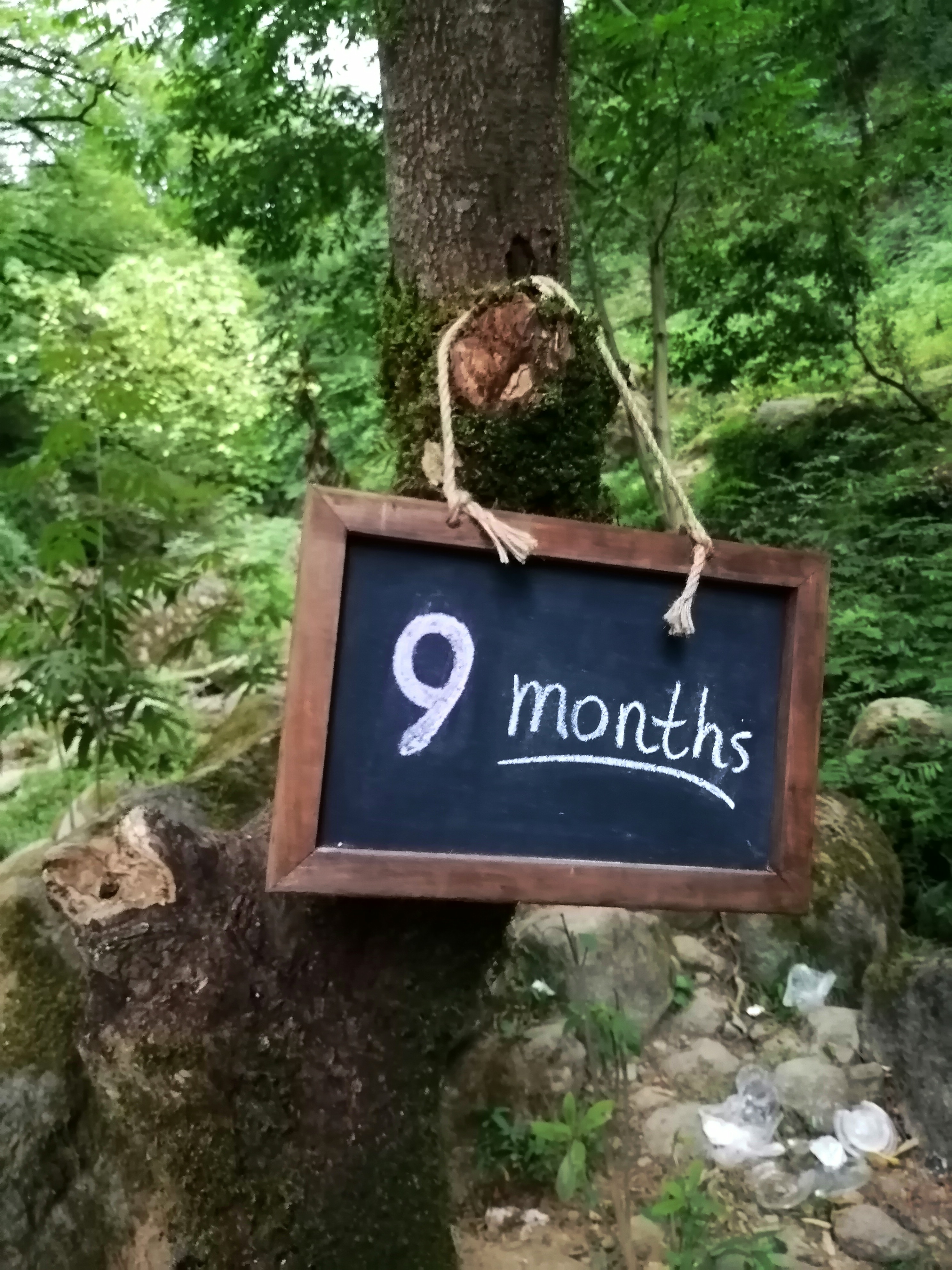 عکس نوزاد دختر نیکا سلیمی