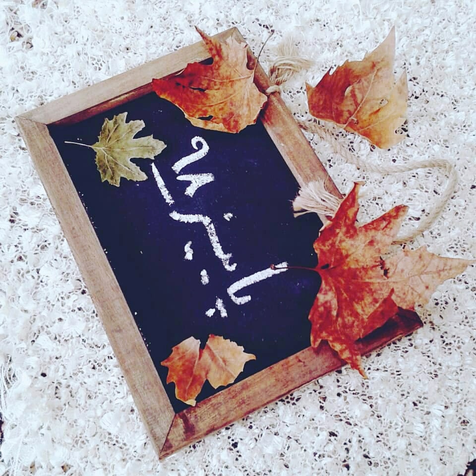 ده ماهگی نوزاد نیکا سلیمی