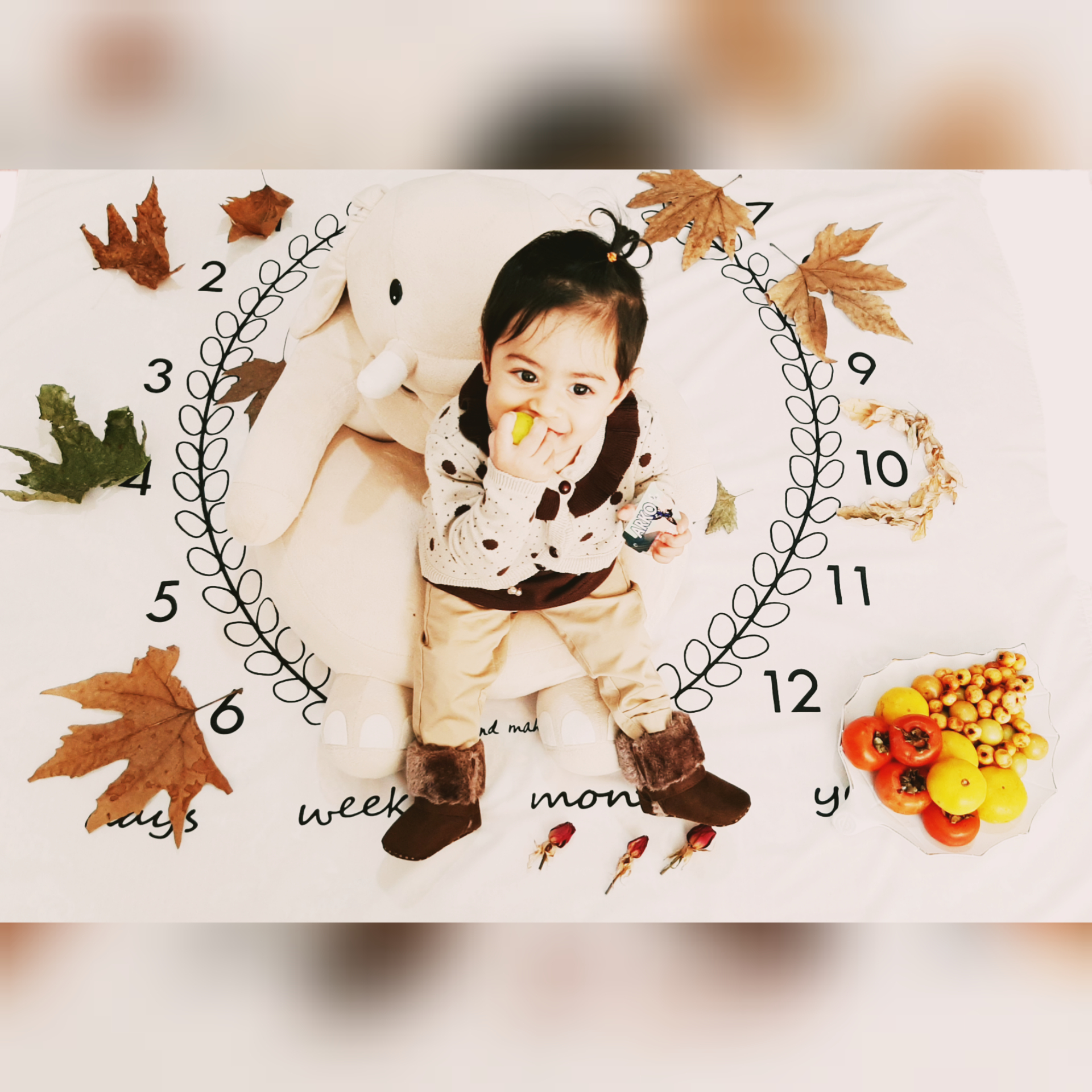 پارچه ماه شمار طرح شاخه زیتون نیکا سلیمی