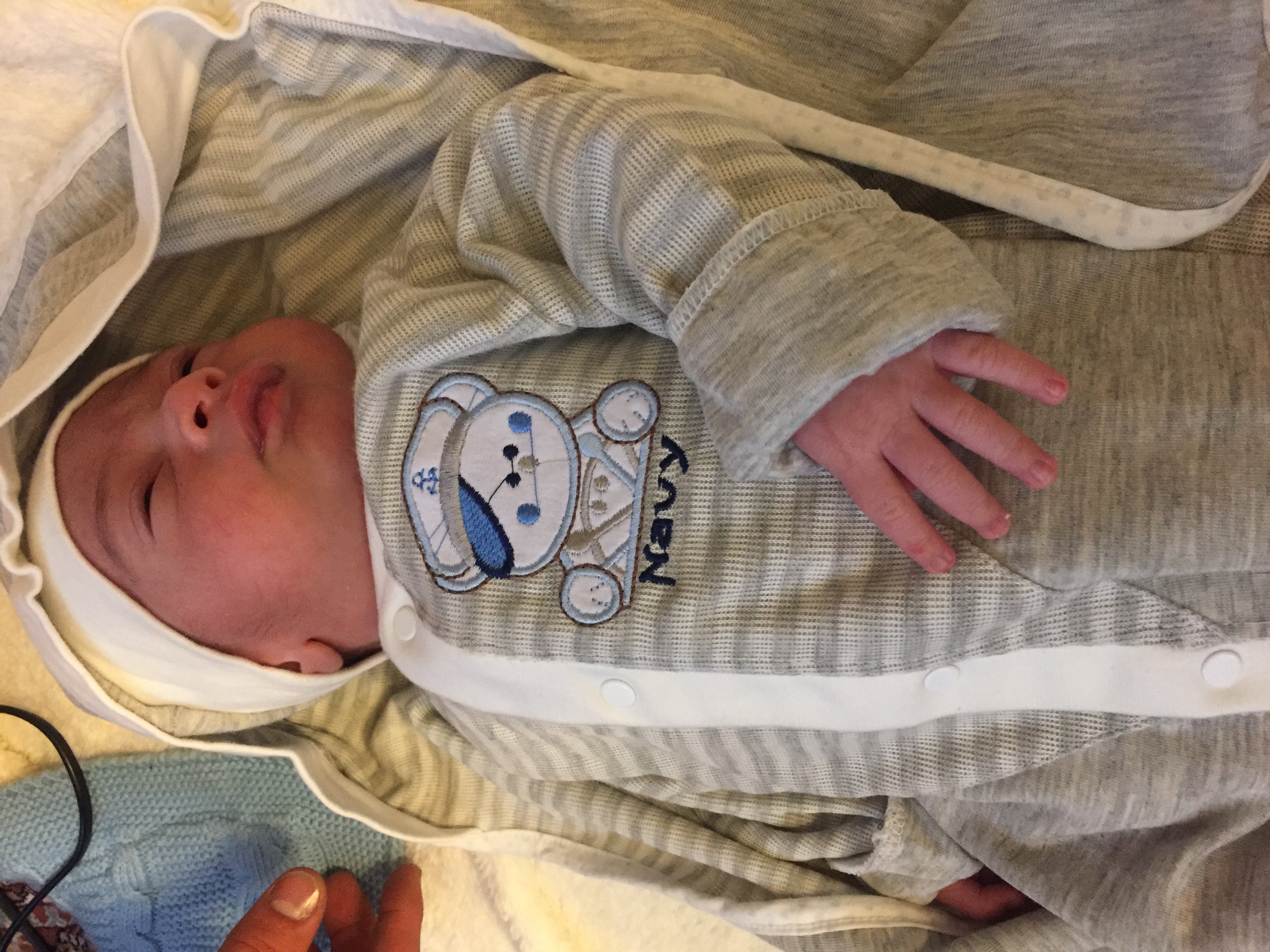 متولد شدن نوزاد برديا فراهاني