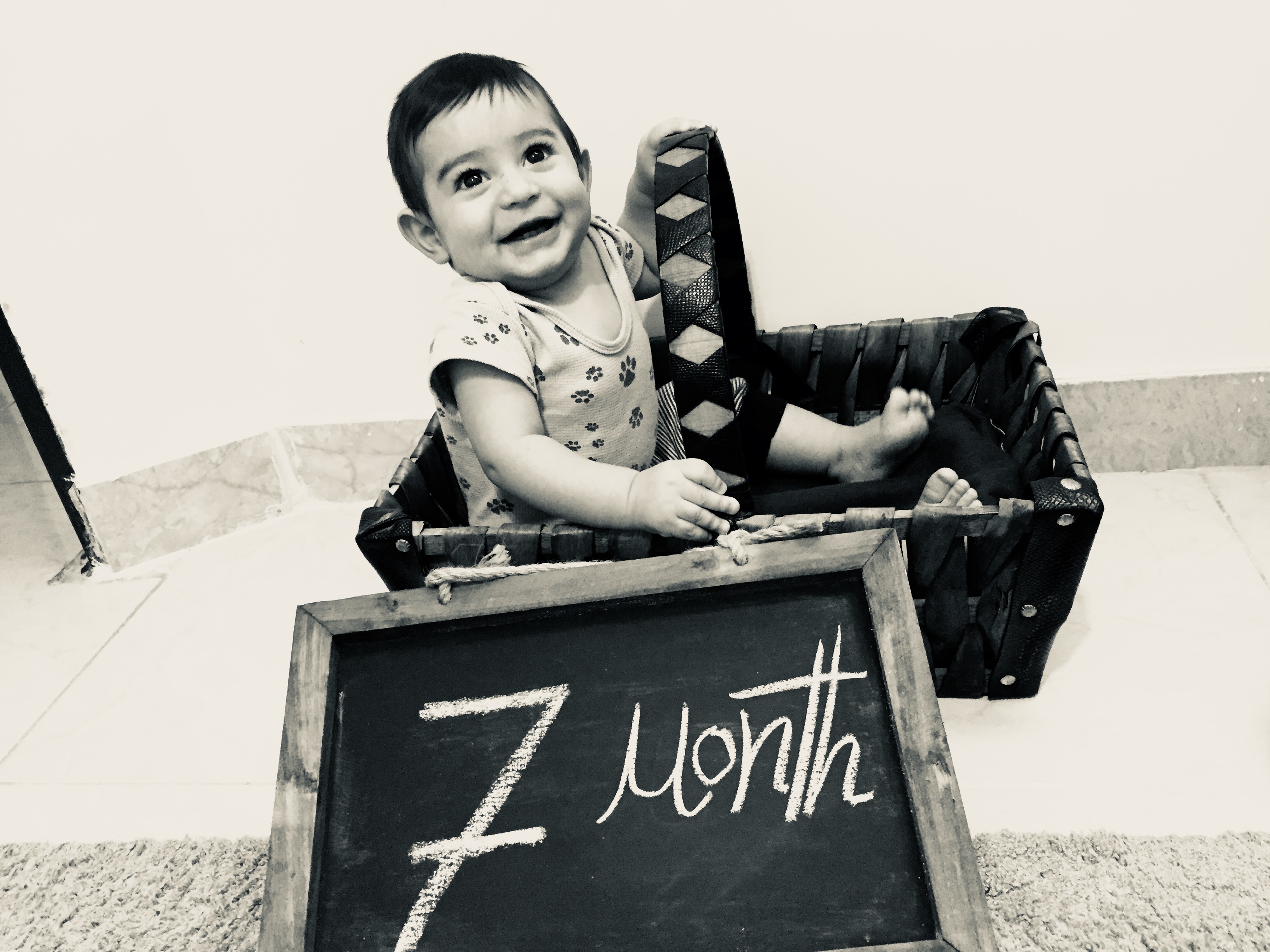 چهار‌دست و پا رفتن نوزاد برديا فراهاني