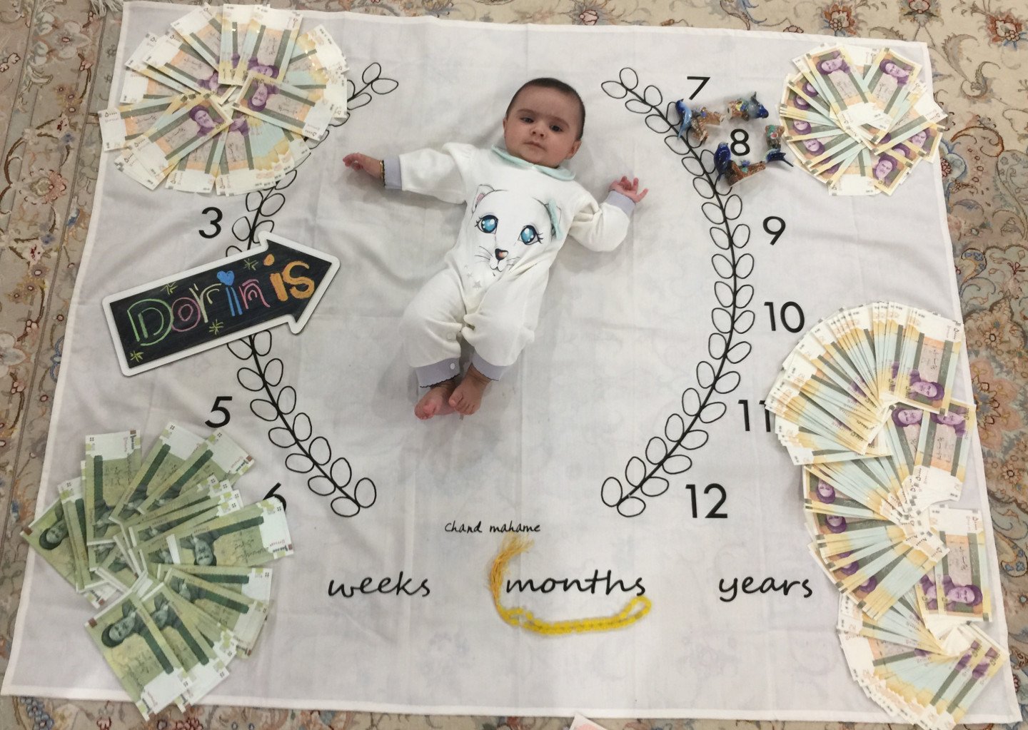 هشت ماهگی نوزاد Dorin nori