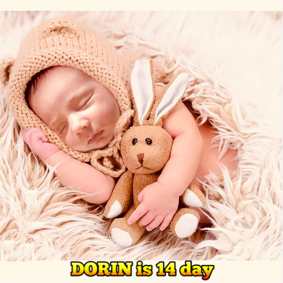 متولد شدن نوزاد Dorin nori