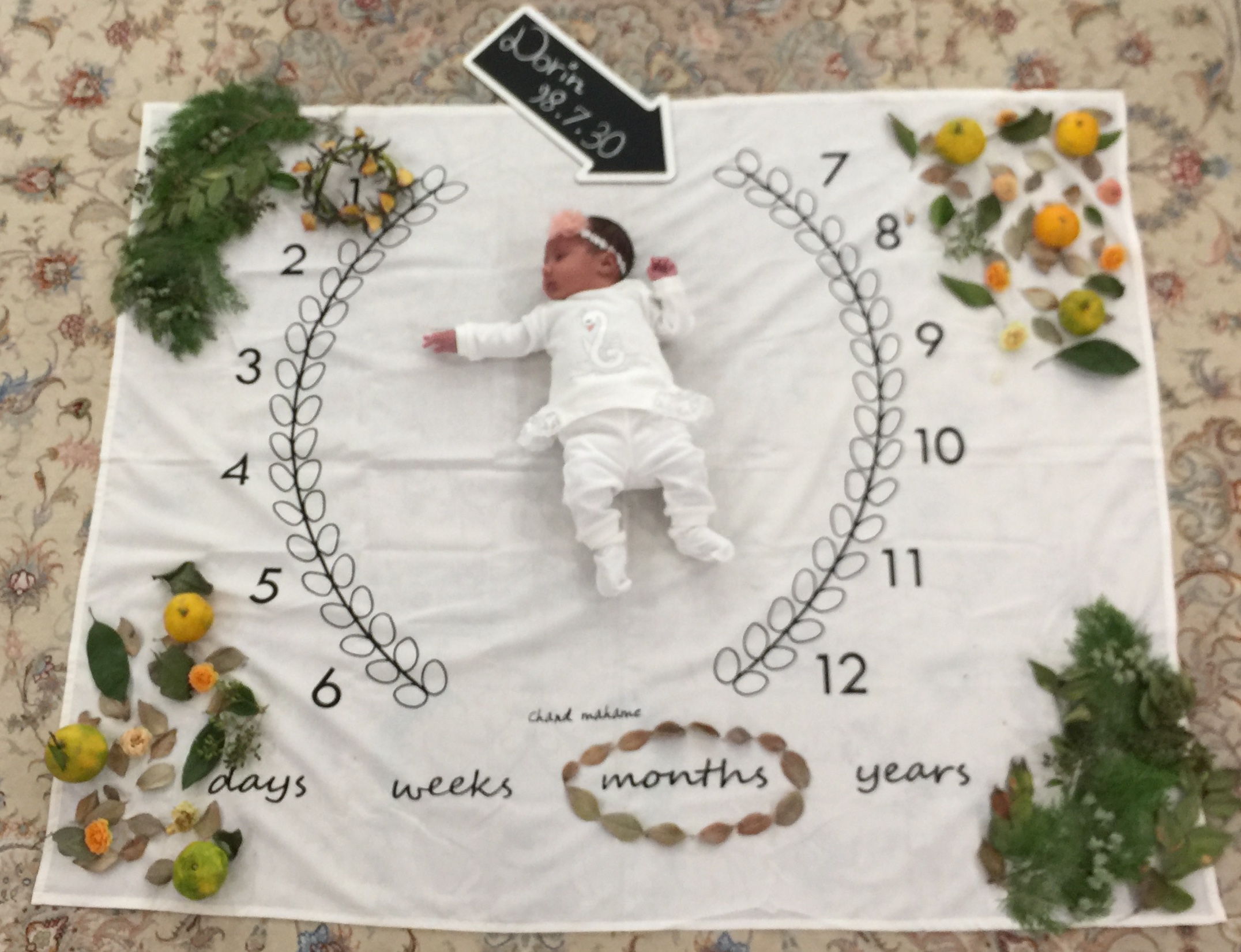 پارچه ماه شمار طرح شاخه زیتون Dorin nori