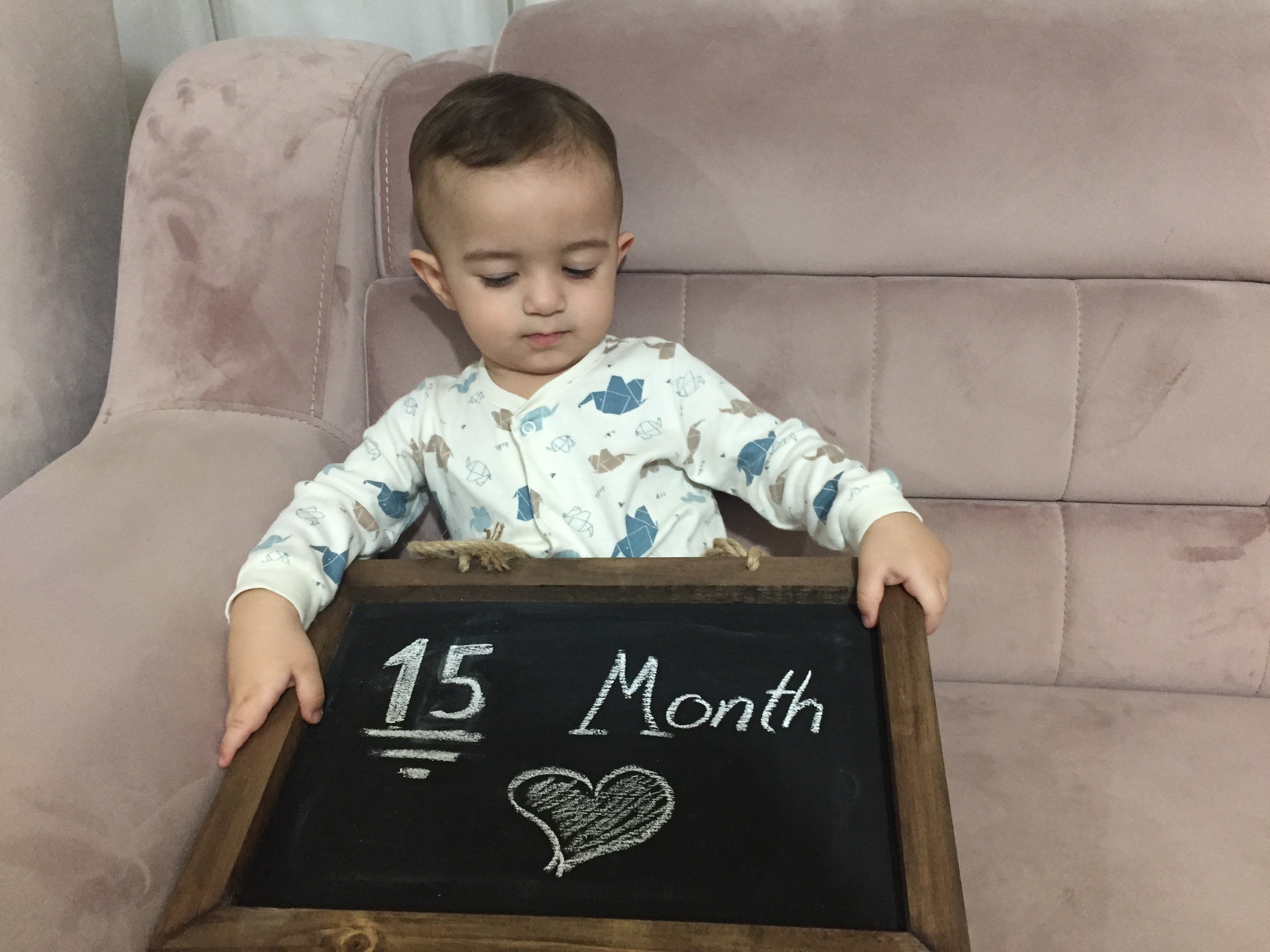 پانزده ماهگی کودک آرشاوین مجدی