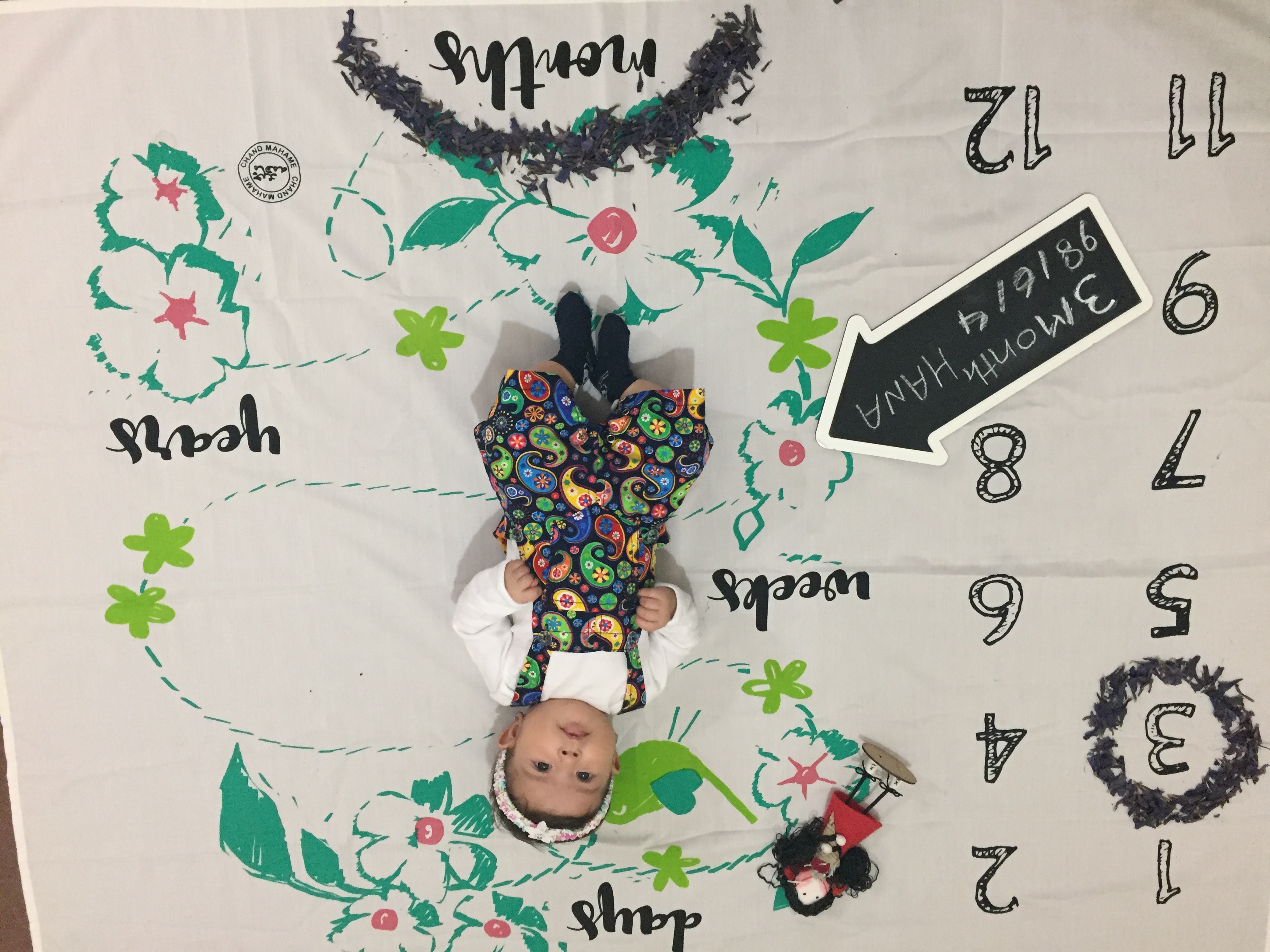 تخته سیاه گچی مدل فلش هانا سلطانپور