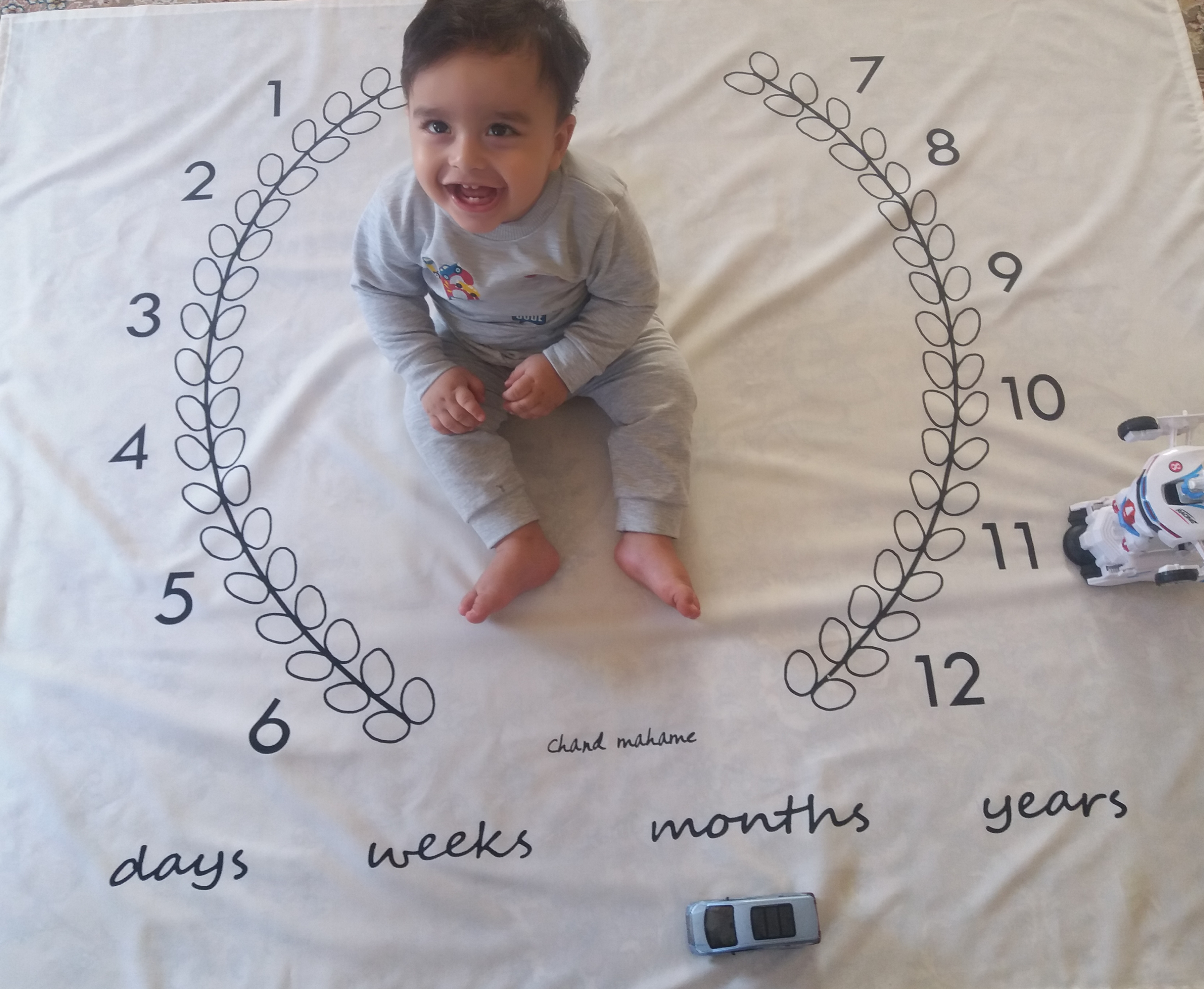 - سامیار نادعلی