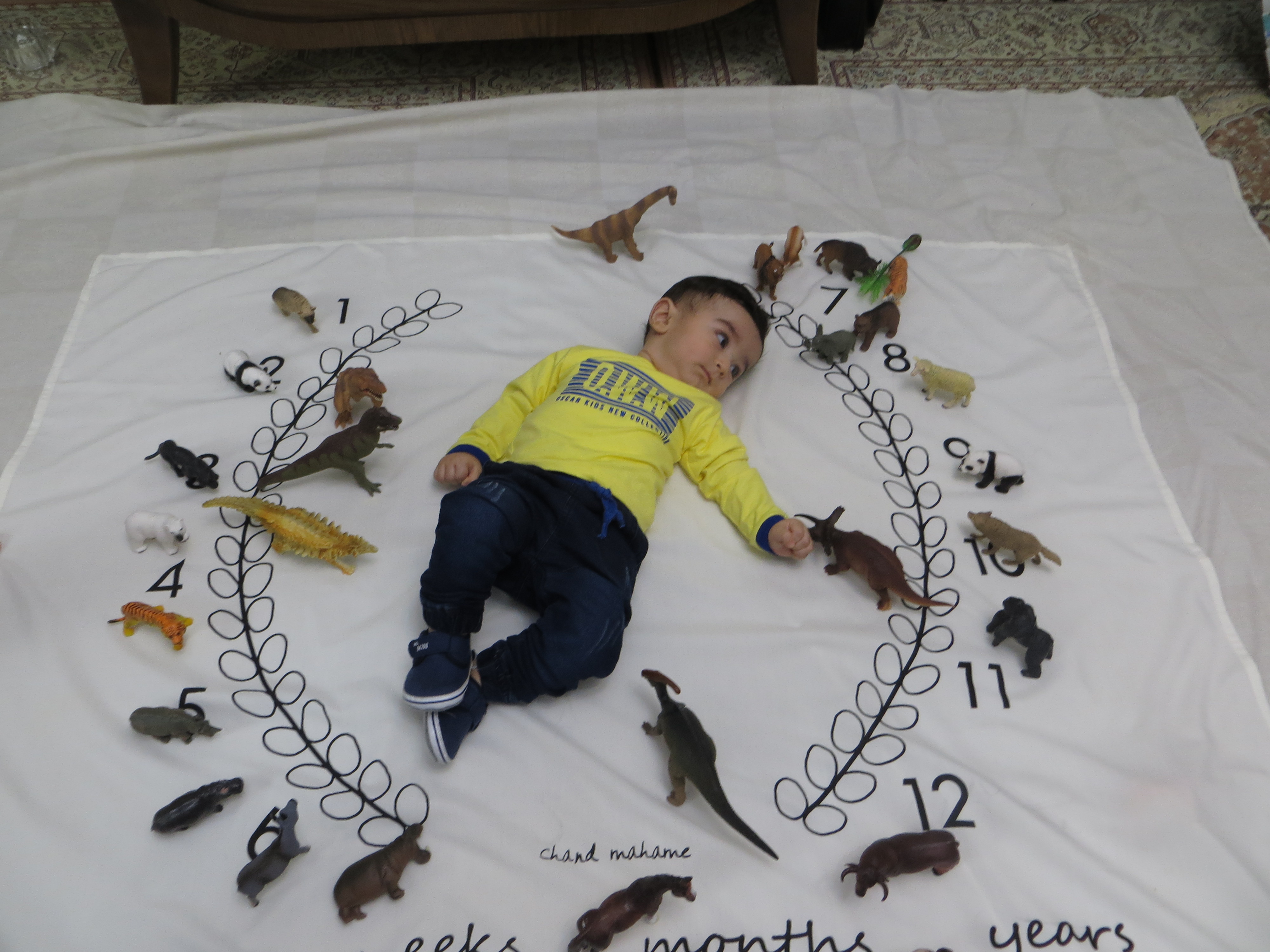 چهار‌دست و پا رفتن نوزاد آرسام جعفری