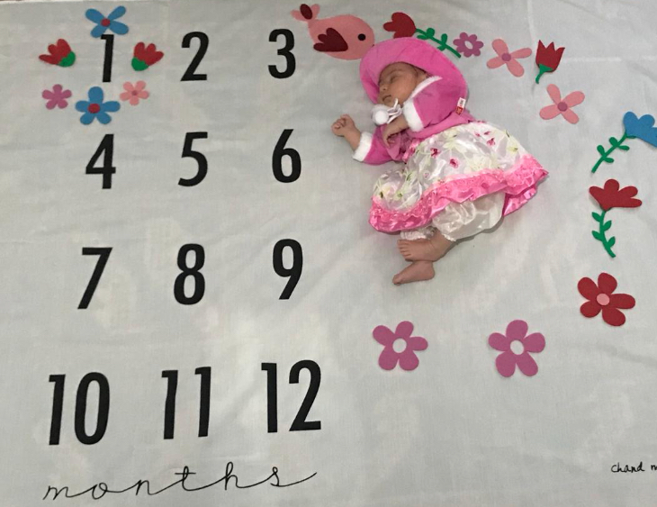 تم-عکاسی-گل-و-بلبل-4994