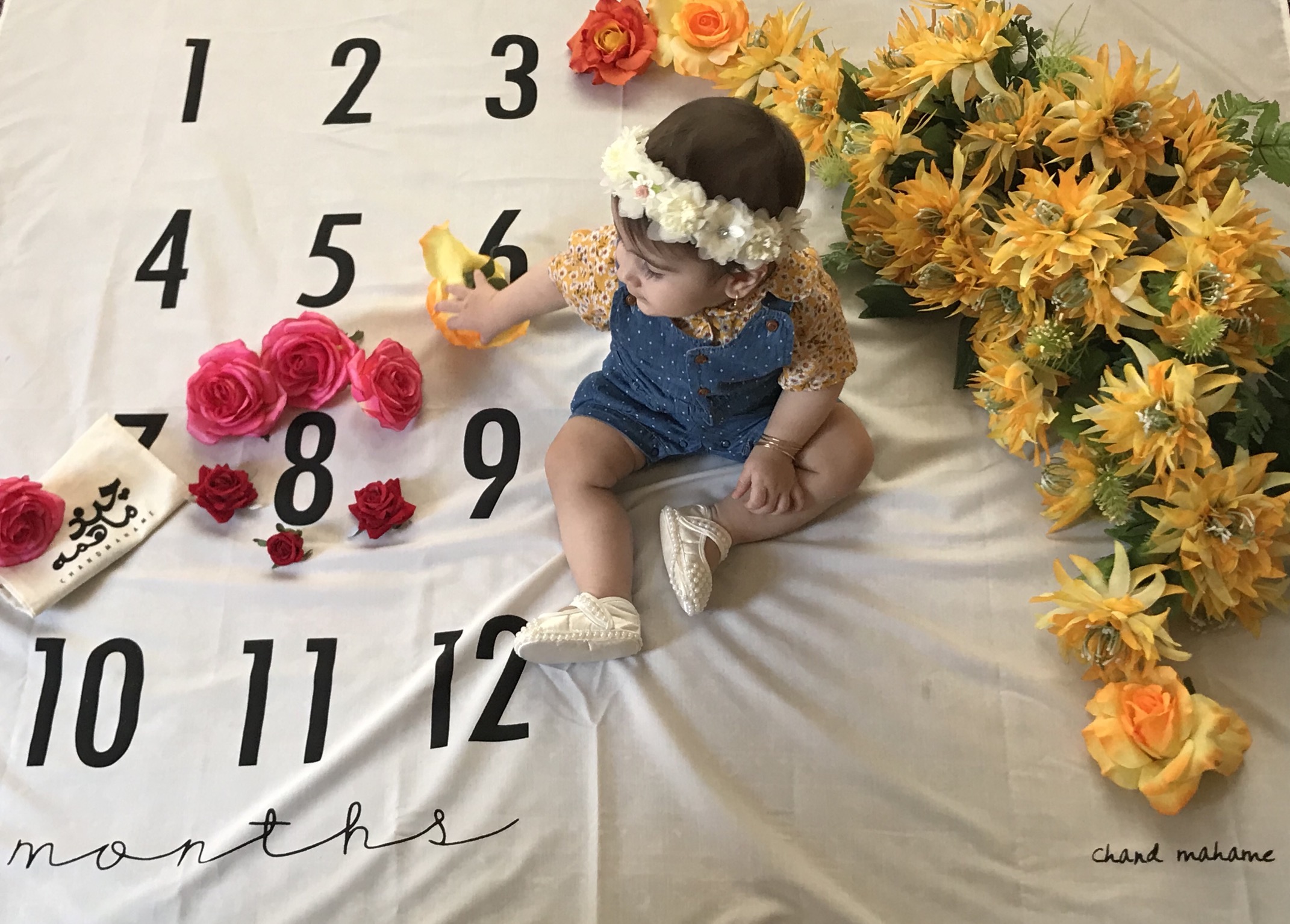 هشت ماهگی نوزاد ال آی عاقلی