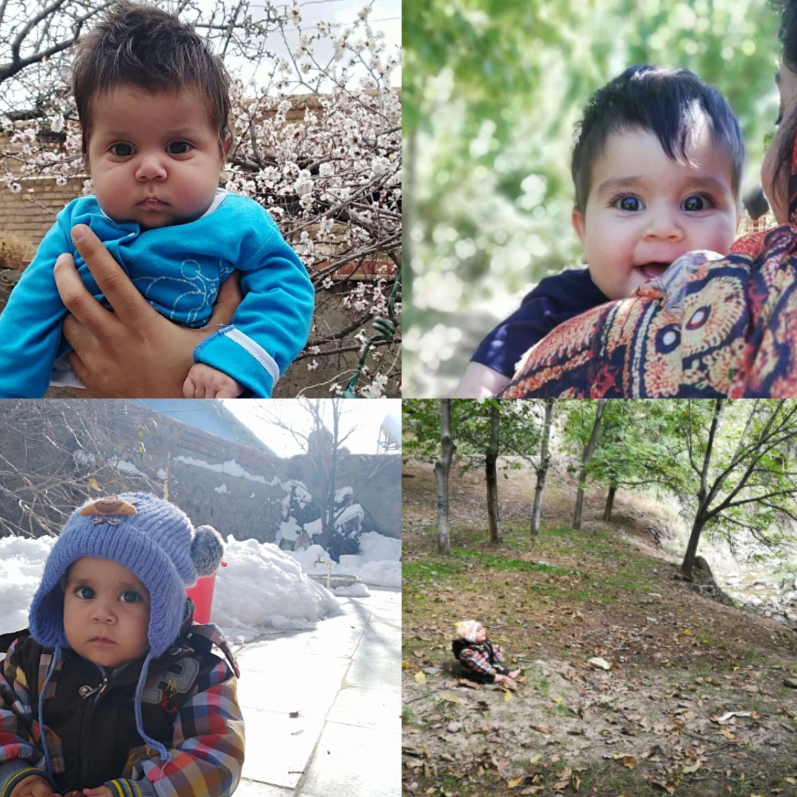 دوازده ماهگی نوزاد طاها عسکری