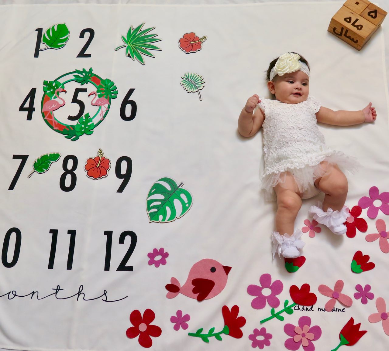 عکس نوزاد دختر دلوین رضایی زنگنه