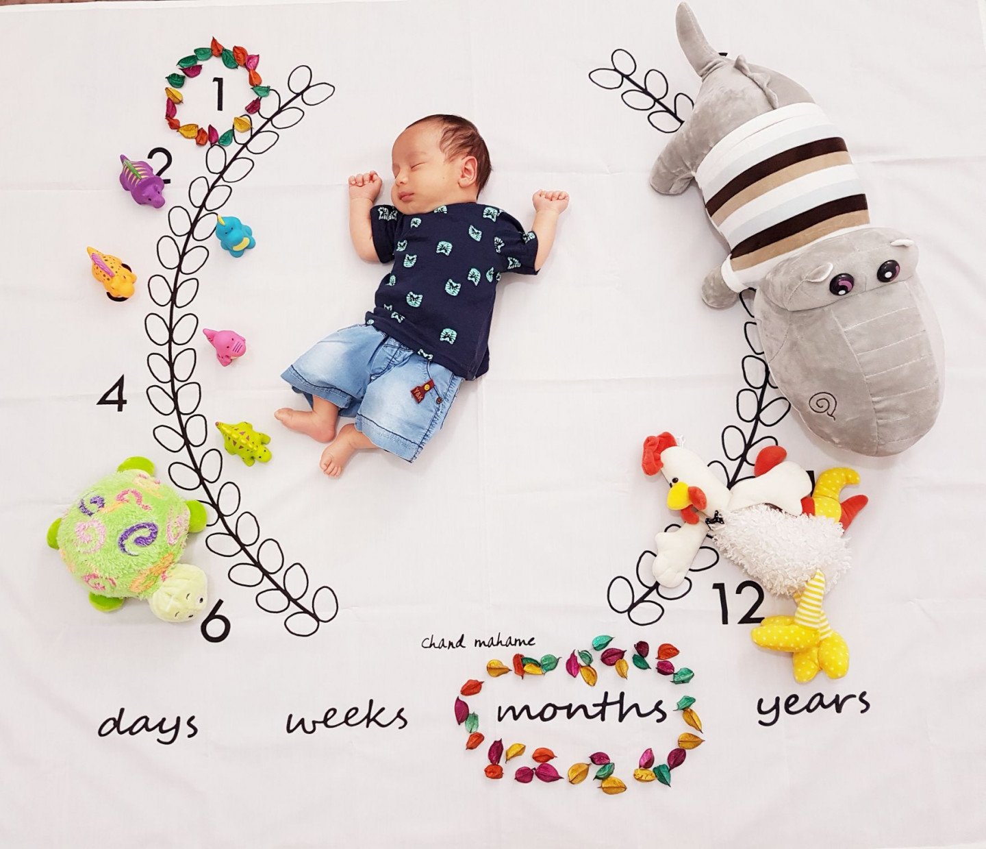 یک ماهگی نوزاد کارن قاسمی