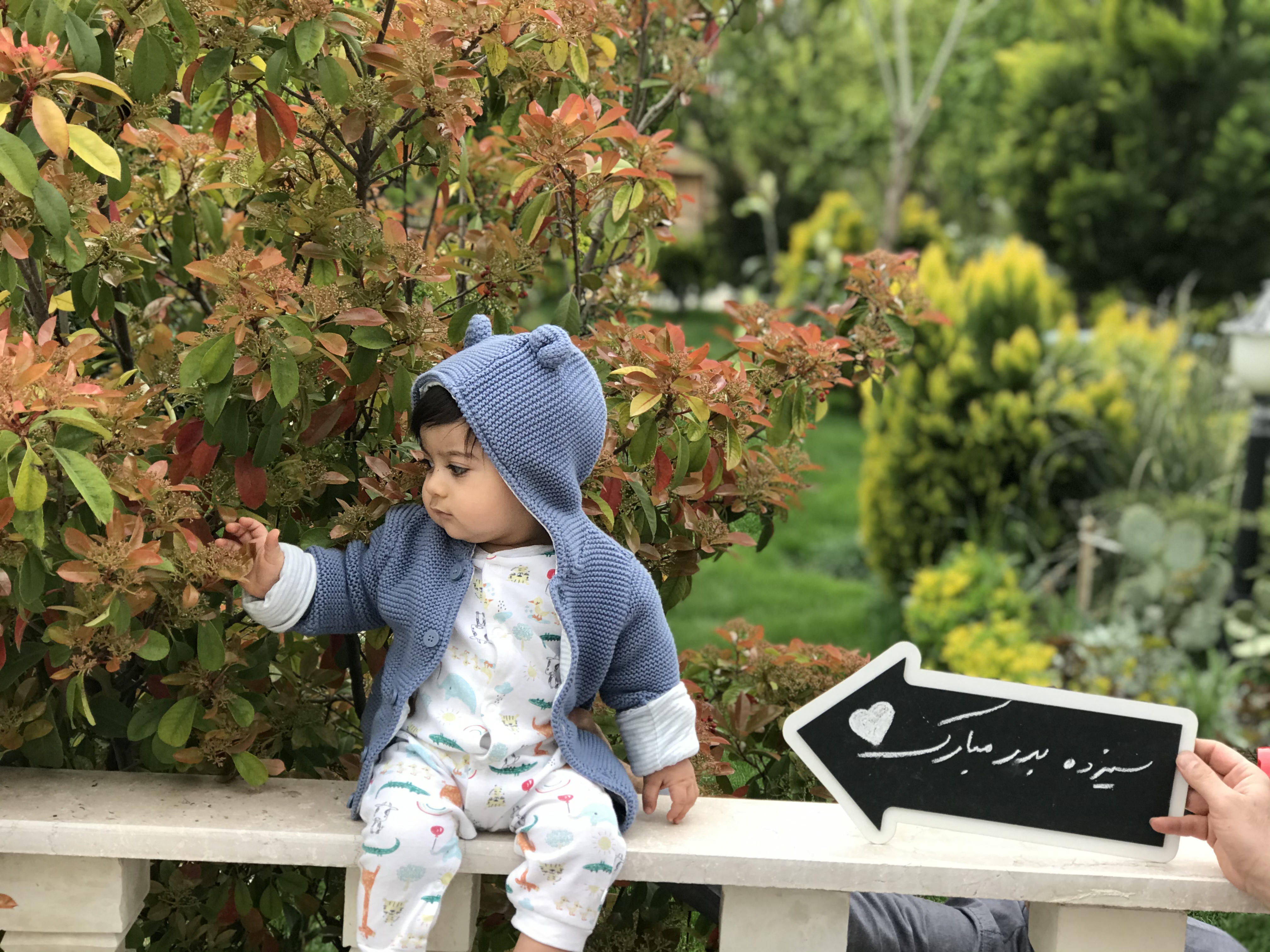 عکس نوزاد پسر مریم مرادخانی