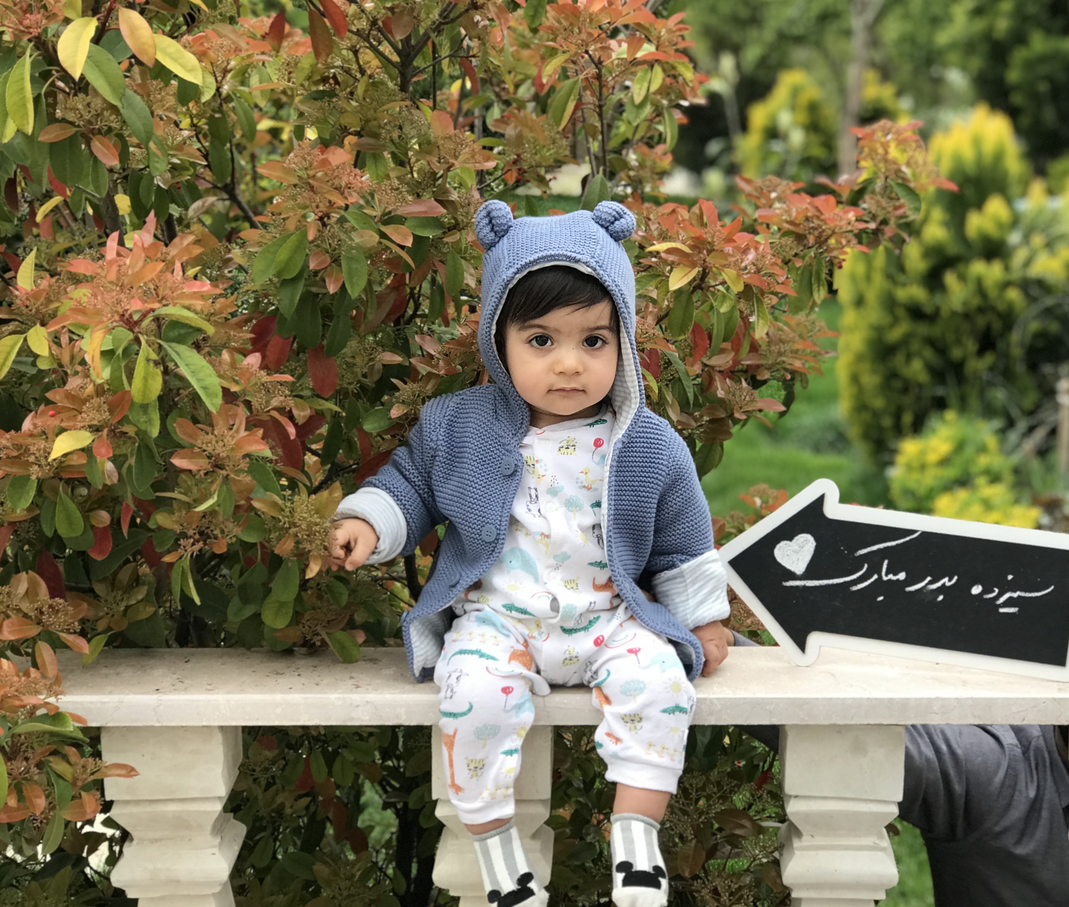 عکس نوزاد پسر مریم مرادخانی