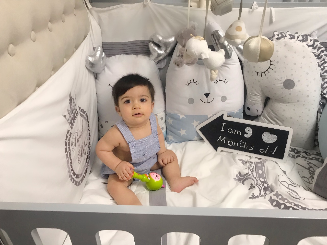 تخته-سیاه-ها-13290