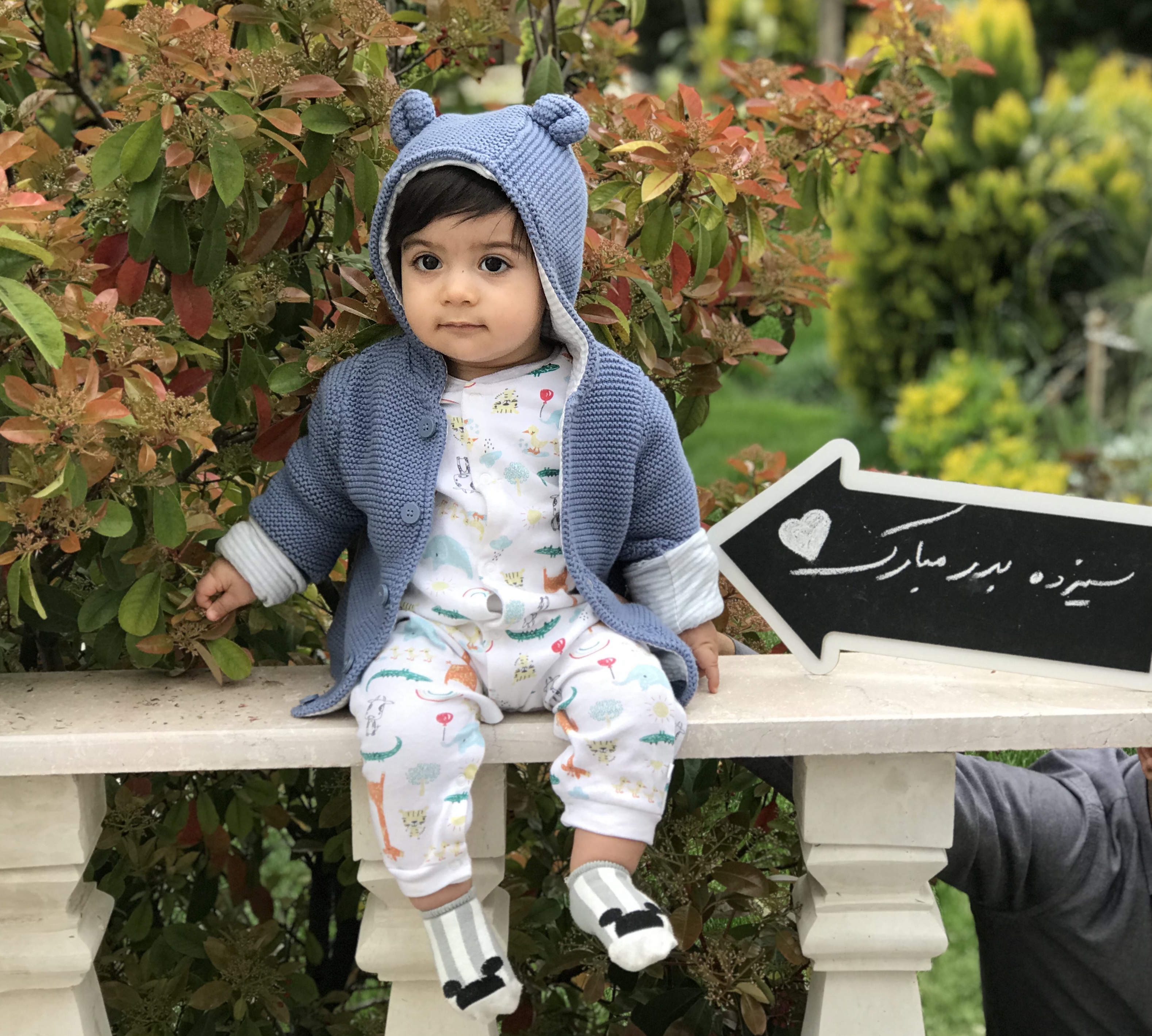 تخته سیاه گچی مدل فلش مریم مرادخانی