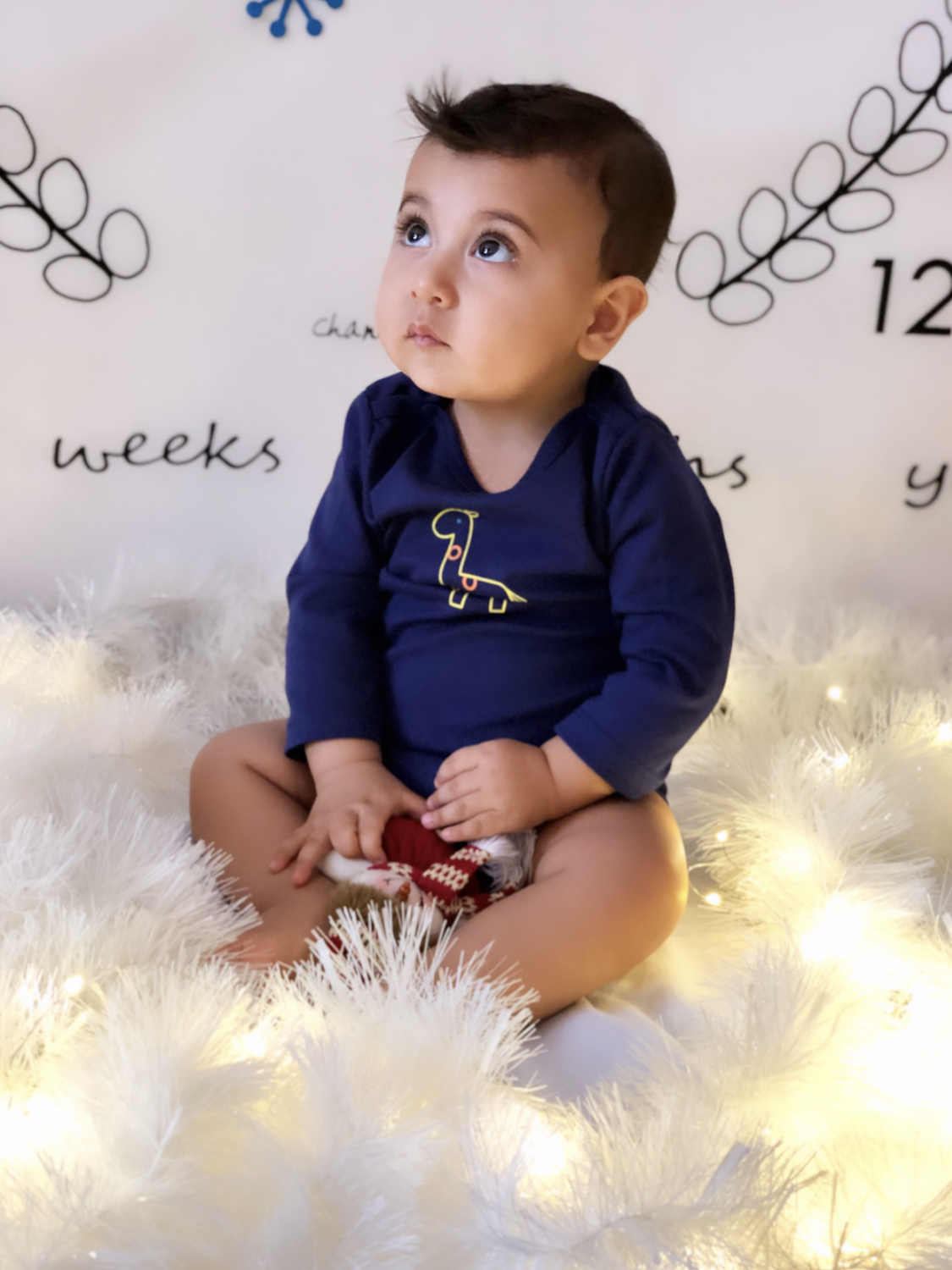 پارچه ماه شمار طرح شاخه زیتون کوروش صالحی فشمی