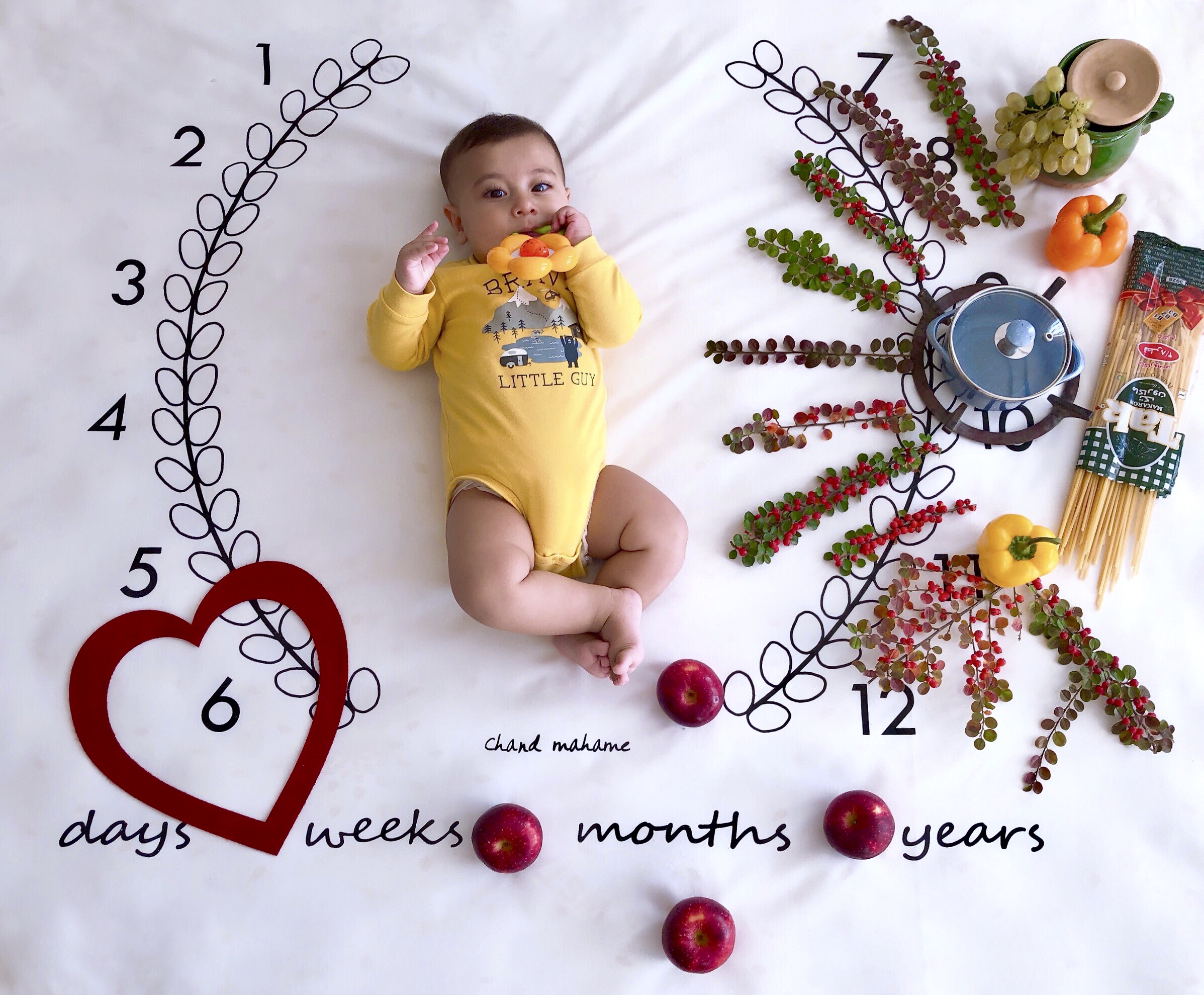 شش ماهگی نوزاد کوروش صالحی فشمی