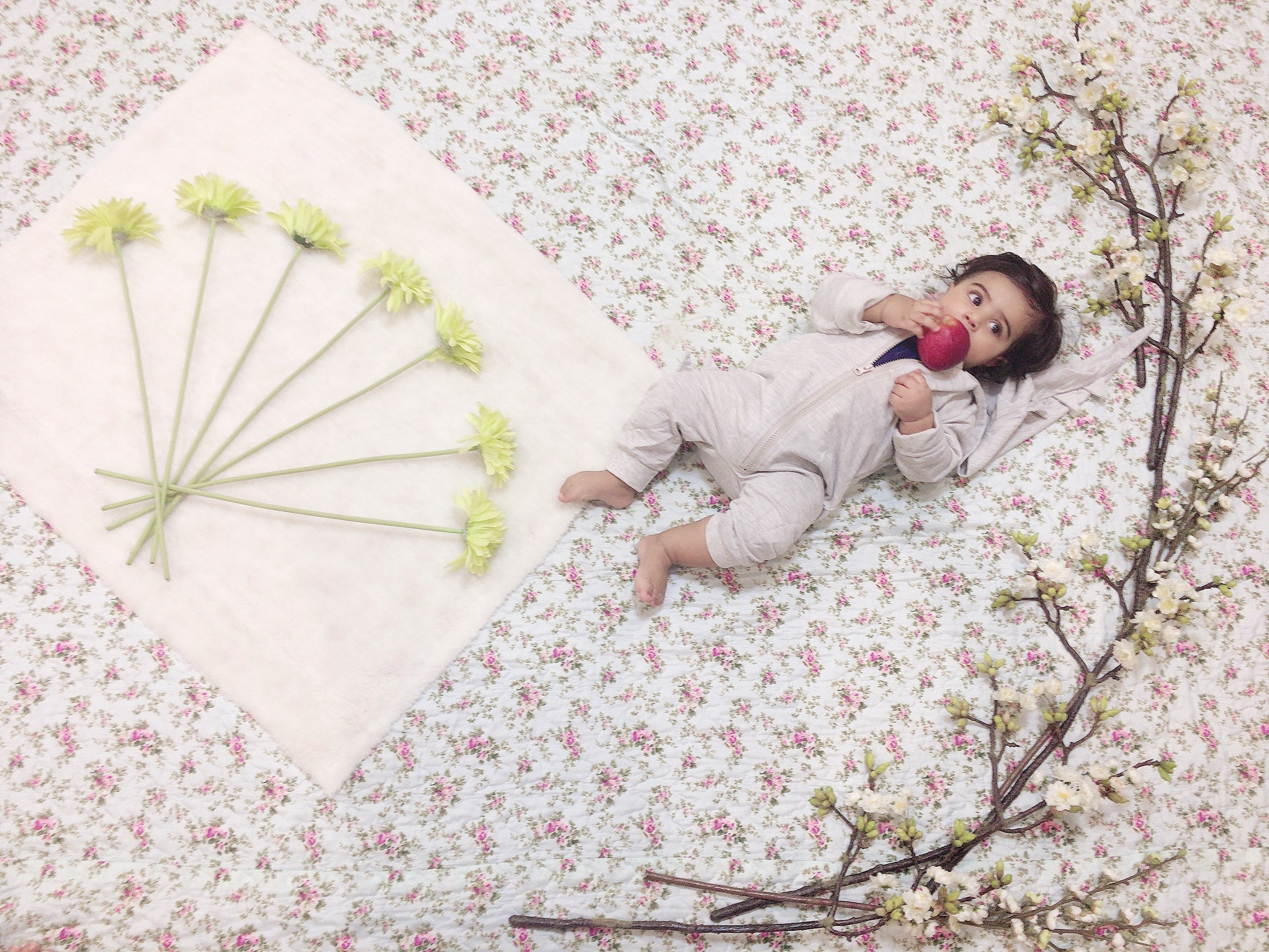 چهار‌دست و پا رفتن نوزاد نویان کمالی نسب