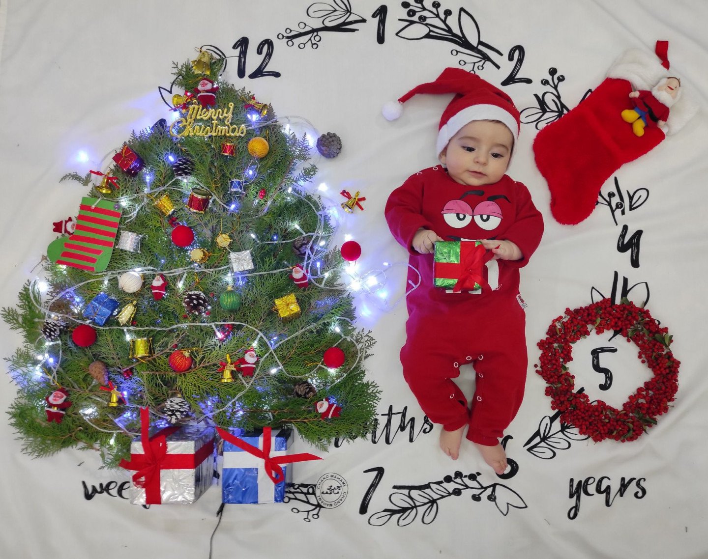 پنج ماهگی نوزاد هرمان نمه شیری