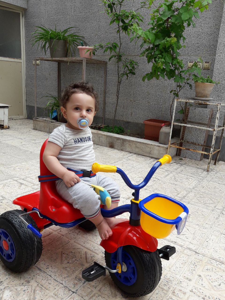 دوازده ماهگی نوزاد فربد فرجی