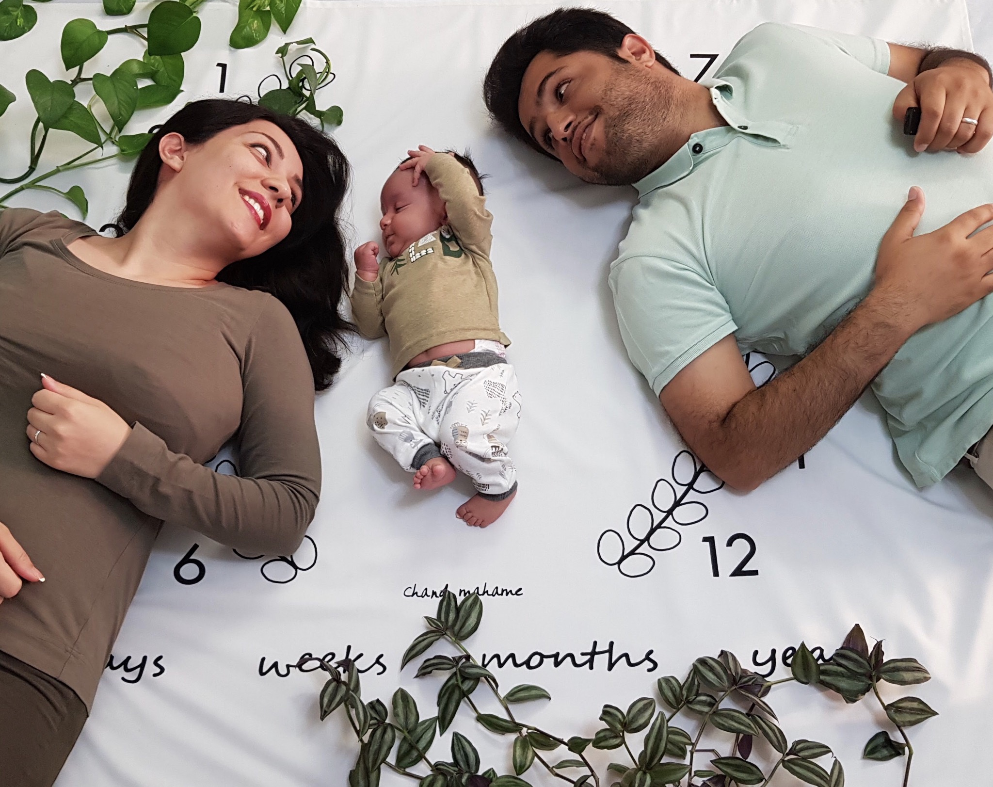 پارچه ماه شمار طرح شاخه زیتون راستین کارآمد